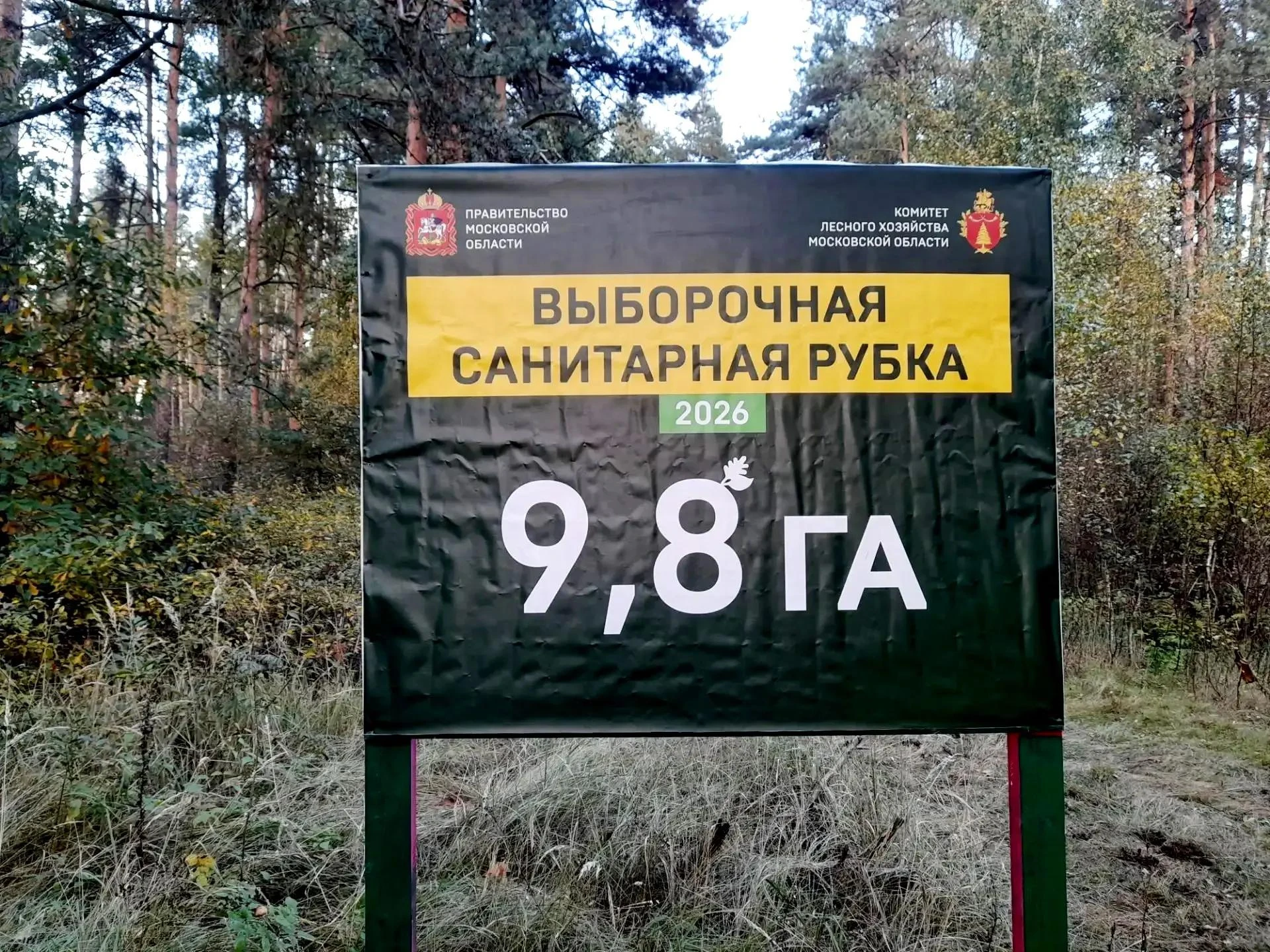 Вблизи деревни Андреевские Выселки начата выборочная санитарная рубка