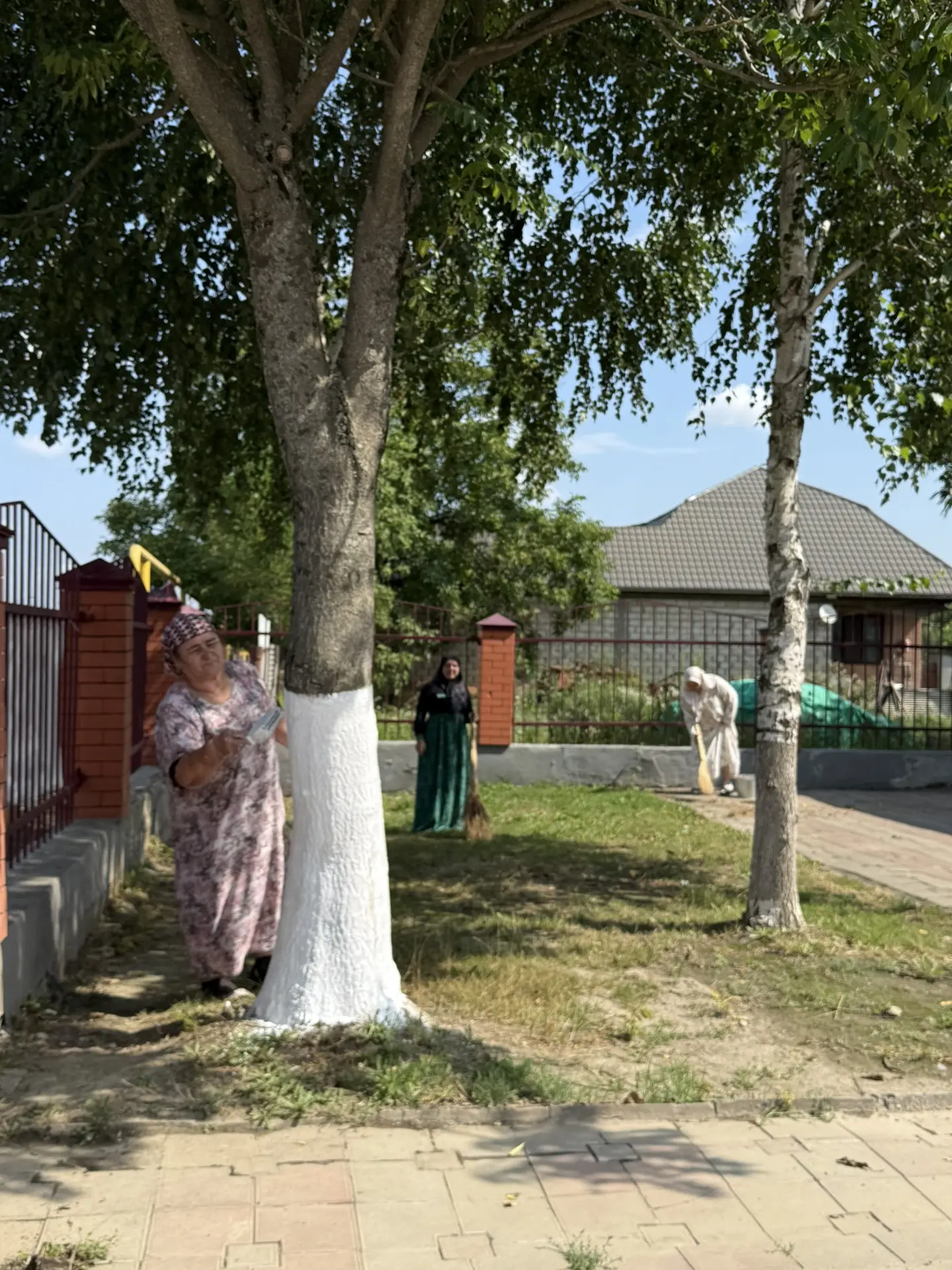 Сегодня коллектив МБОУ «СОШ с. Танги-Чу» провел субботник, в ходе которого педагоги, со...