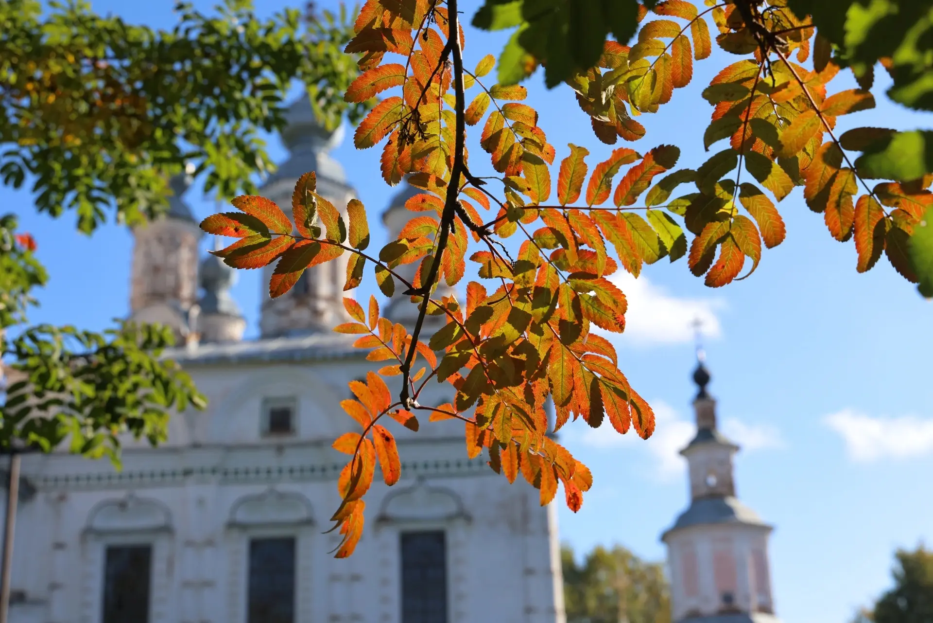 Днём +12° +17°, небольшой, местами умеренный дождь. Ветер западной четверти 6-11 м/с., ...