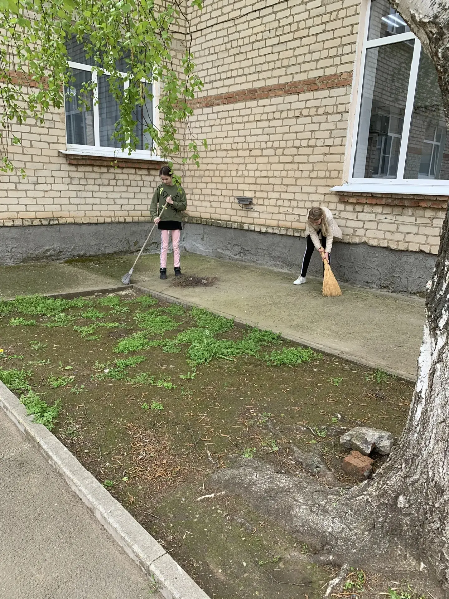 Всероссийский День Эколят