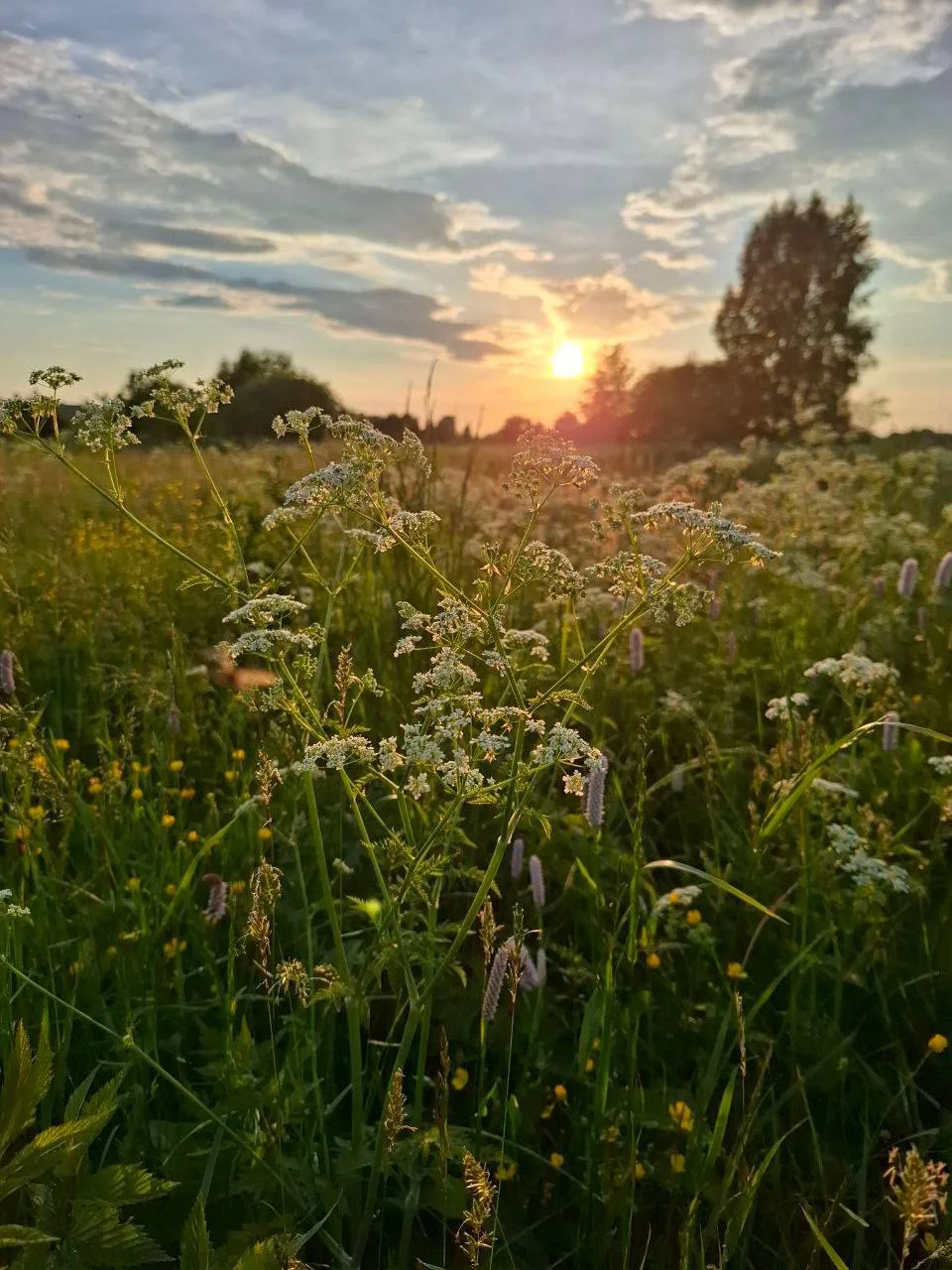 Доброй ночи, Ульяновск! ❤️