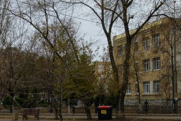 В Энгельсе рядом со школой вырубят деревья и сделают площадку для сдачи экзамена на права