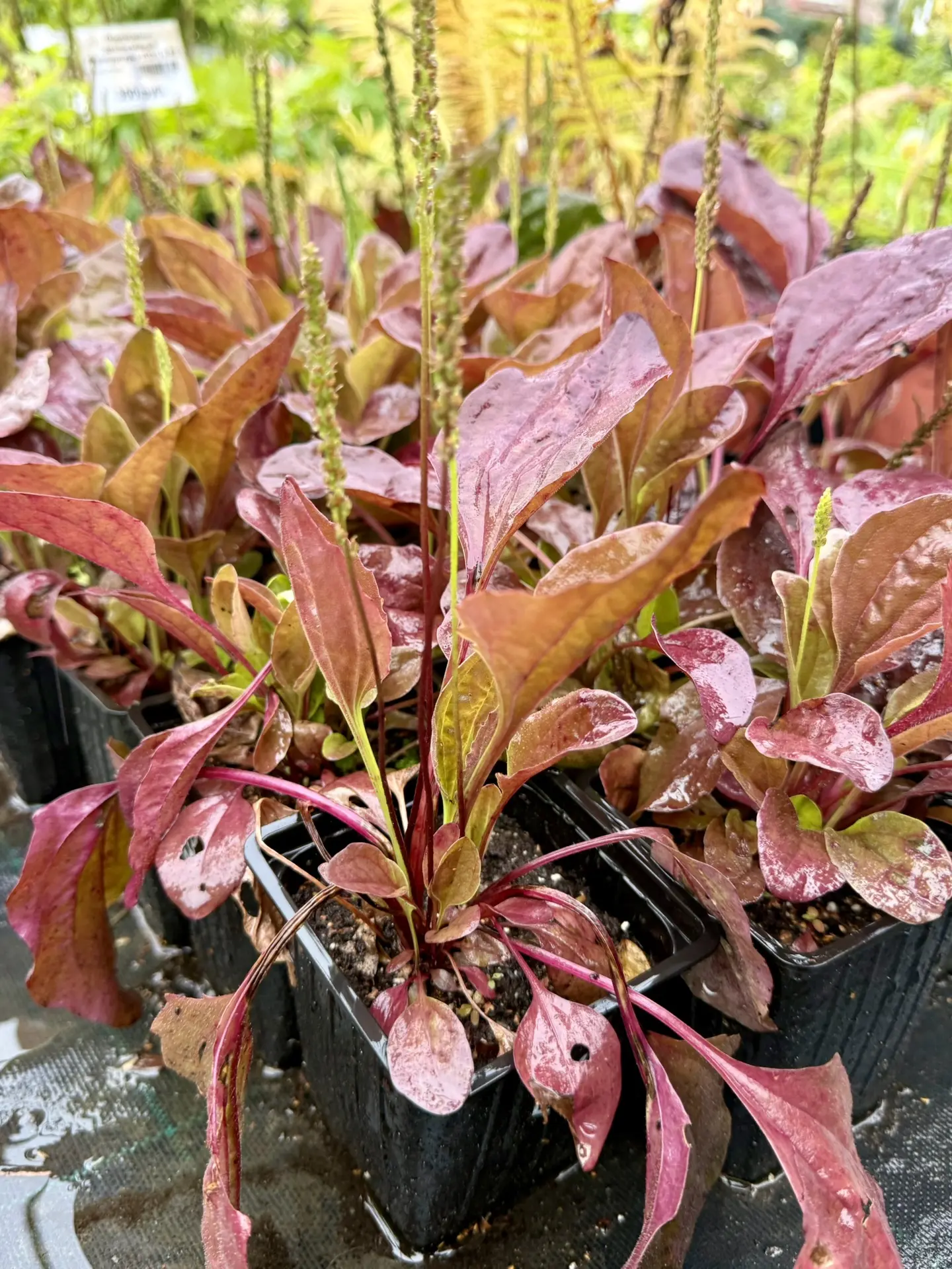 Сегодня все посты в какой-то одной цветовой гамме…