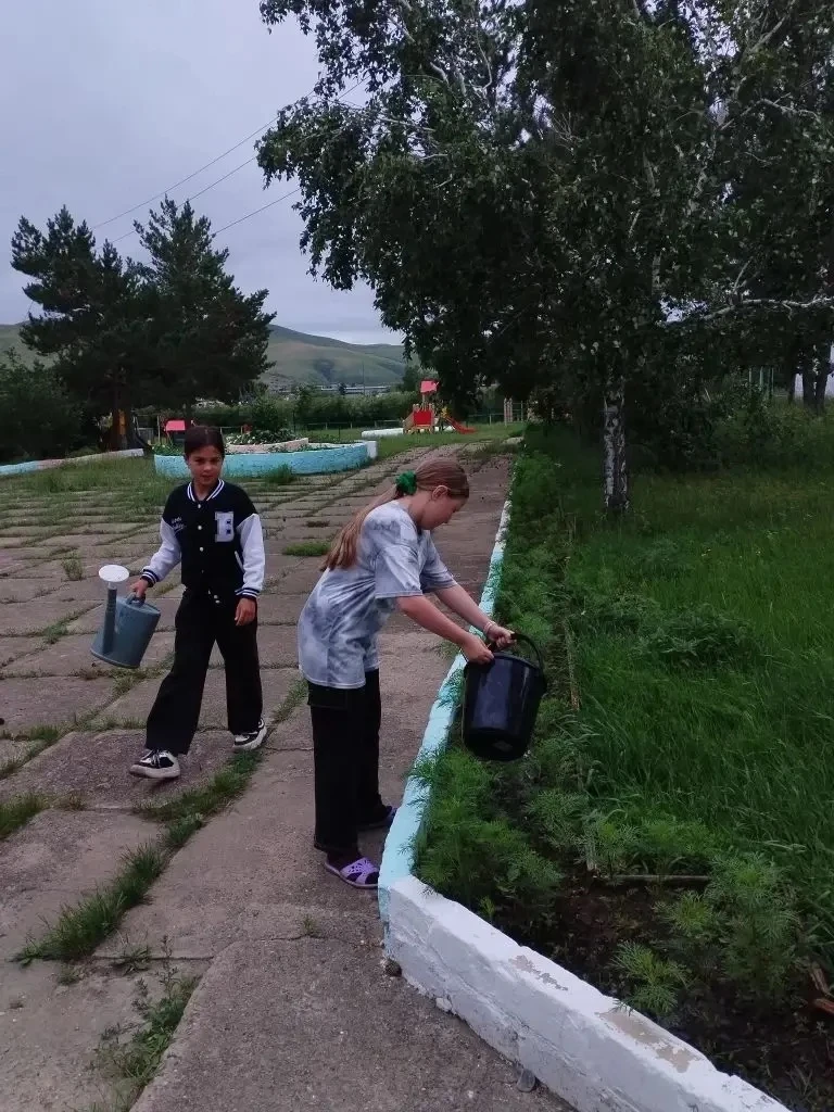 🌱 🌺 🥔 🍅  Реализуем проекты«Школьный двор» и «Школьный огород»!

Превращаем школьные клумбы в цве