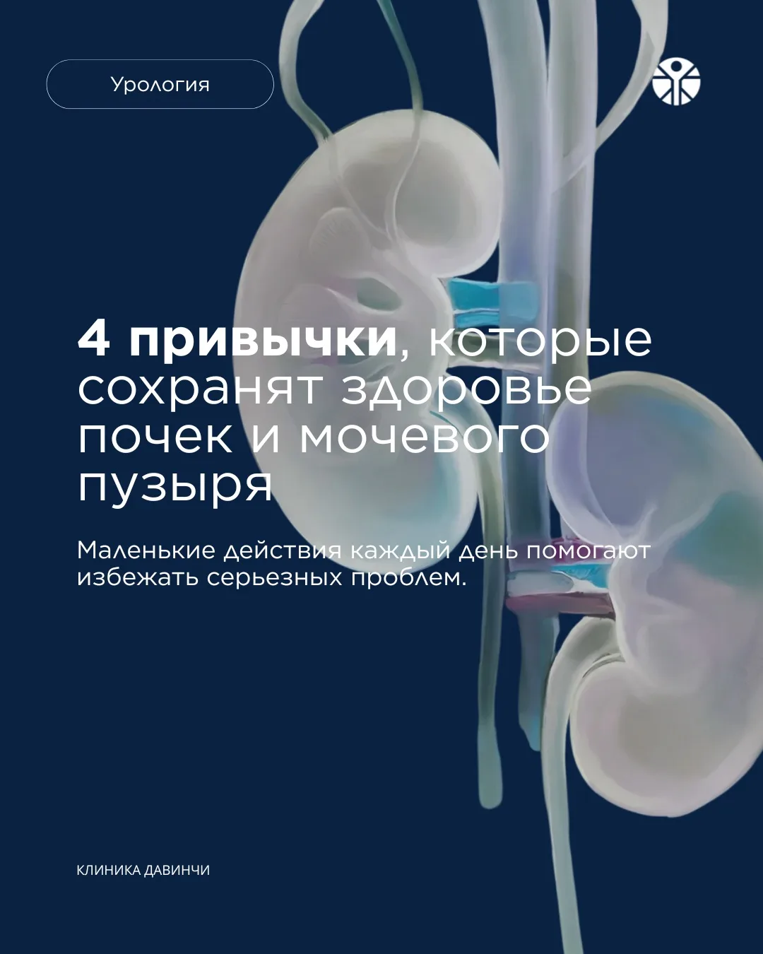 Здоровье почек и мочевого пузыря во многом зависит не только от лечения, но и от ежедне...