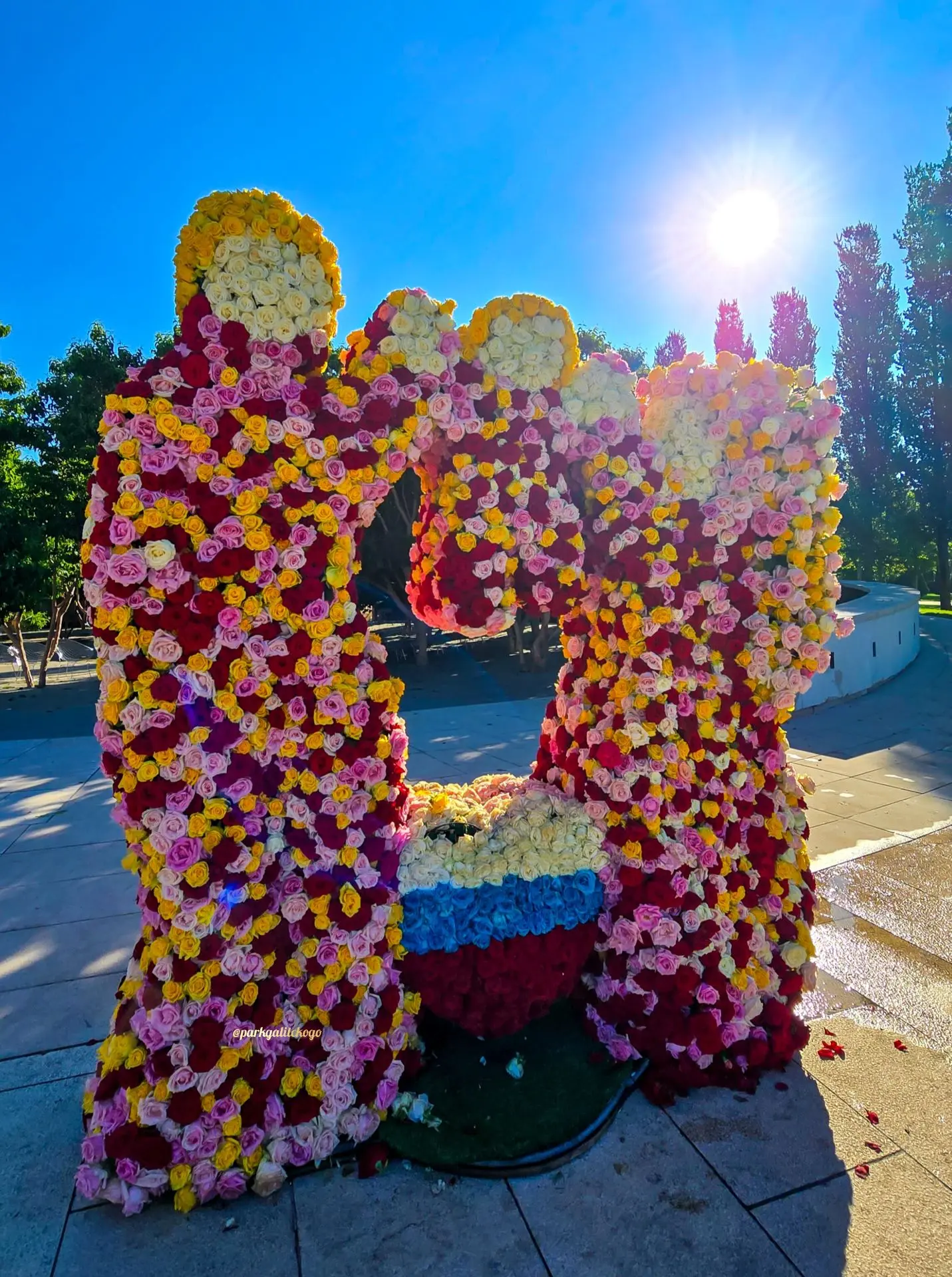 Композицию с розами в парке
уже убрали, но эти кадры остались с нами..🤗 🌹✨💕

Ещё раз любуемся это