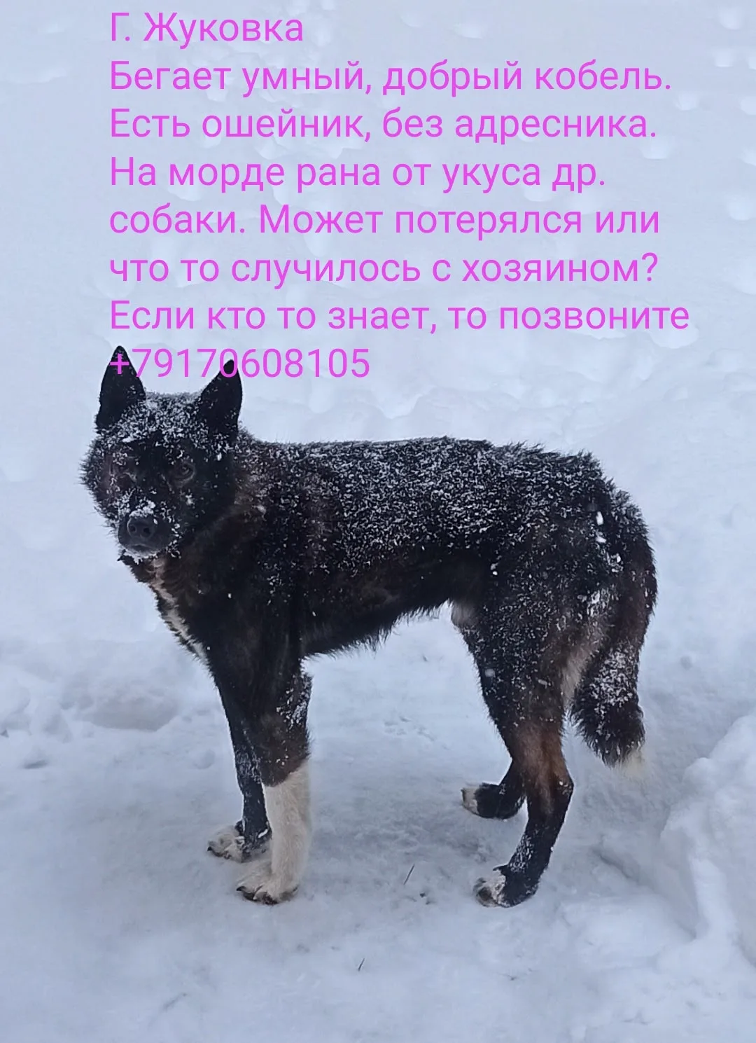 ________________________ 👉ЗАКАЗАТЬ РЕКЛАМУ👈 👩‍💻Администратор канала