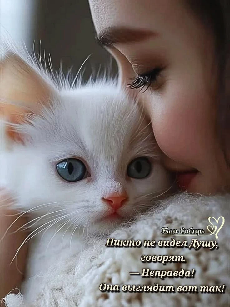 https://max.ru/invista123456