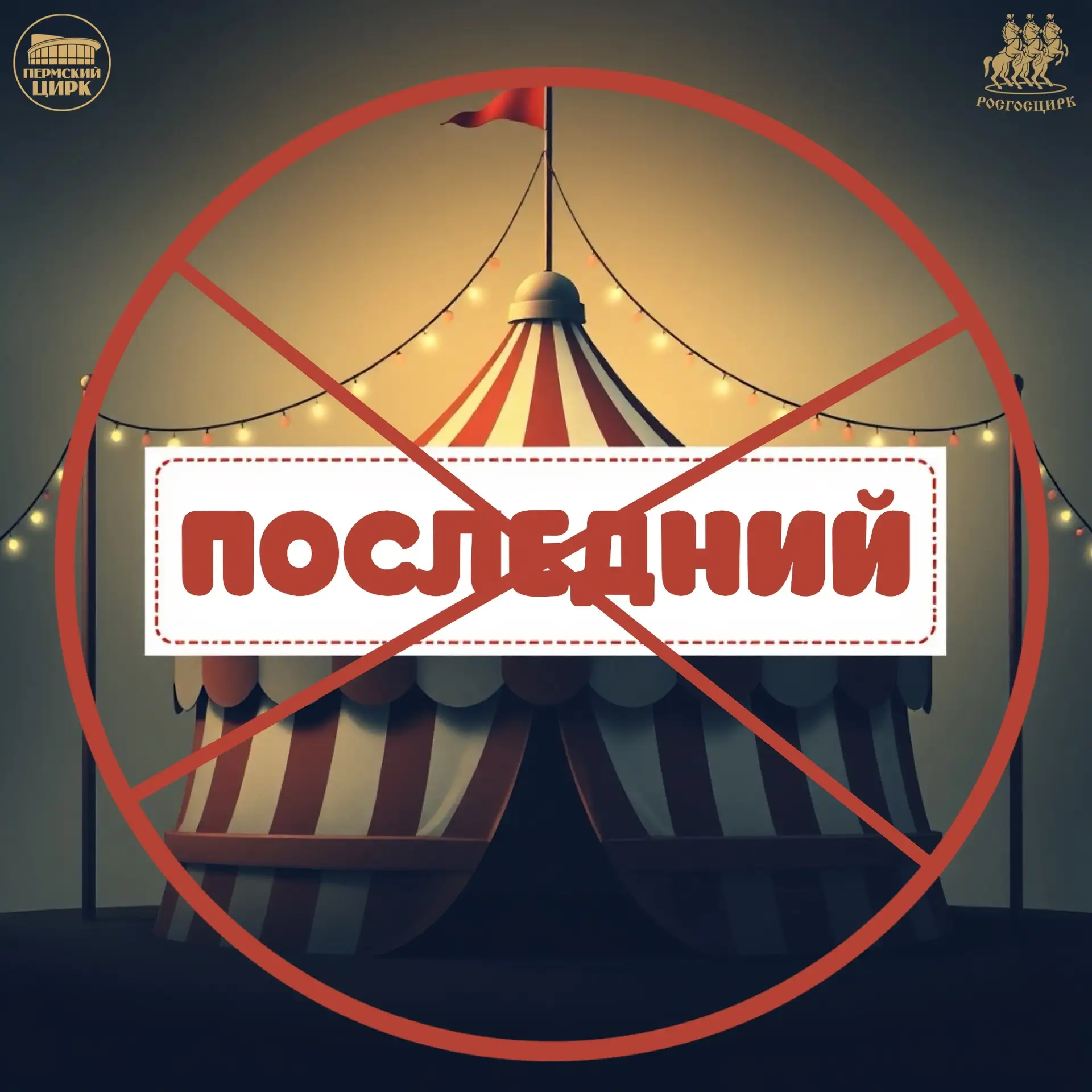🎉Браво, знатоки манежа! Пришло время раскрыть тайну!🎪