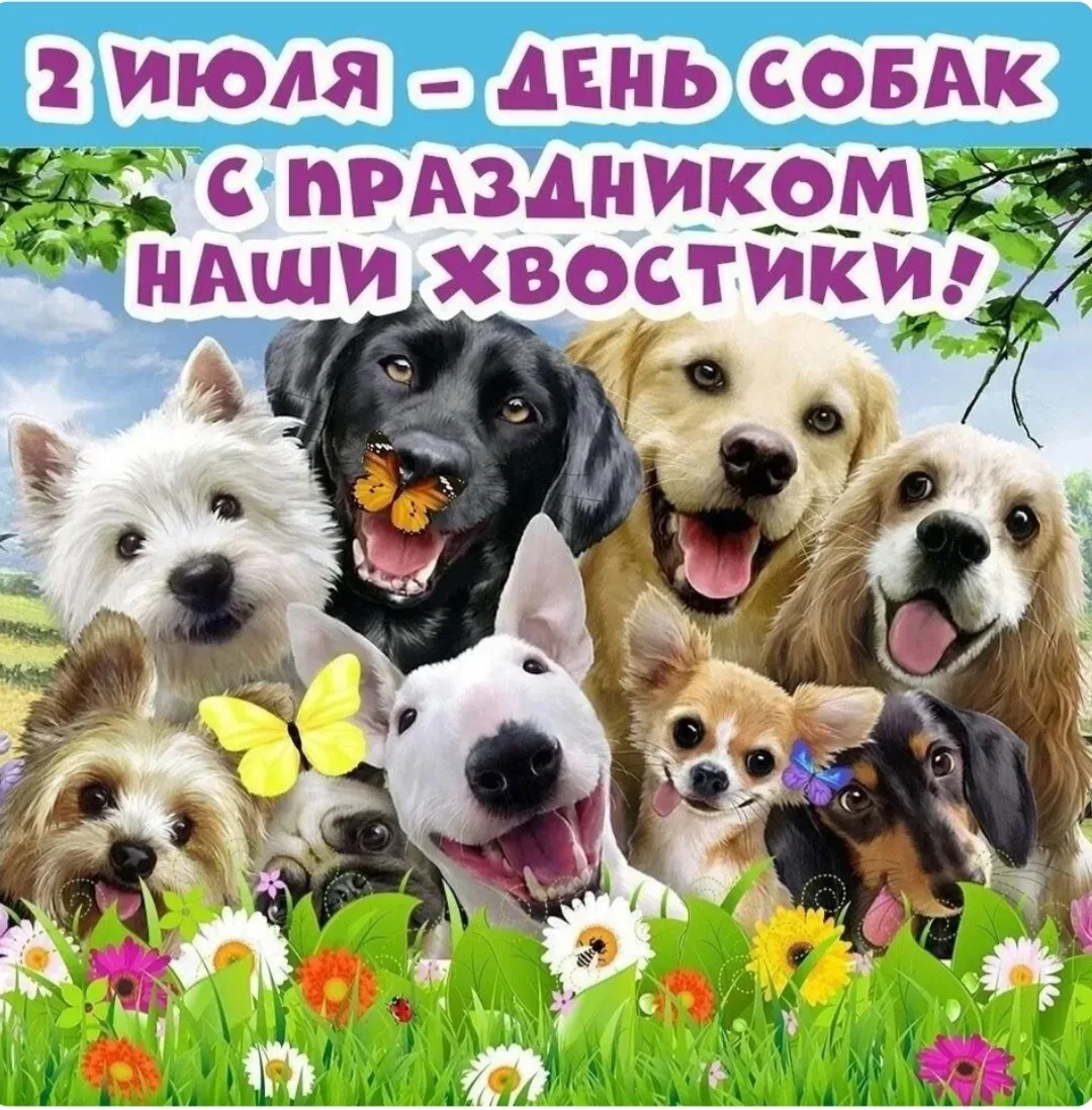 2 июля — Всемирный день собак! 🐶