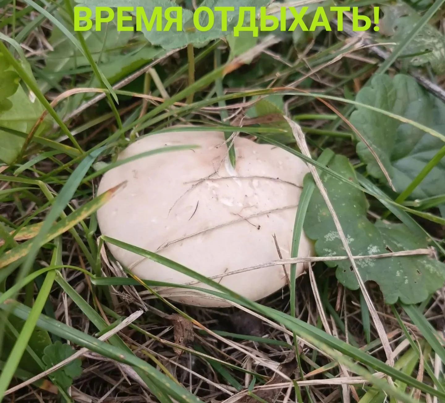 С ДОБРЫМ УТРОМ, ПОДГОРЕНЦЫ!
