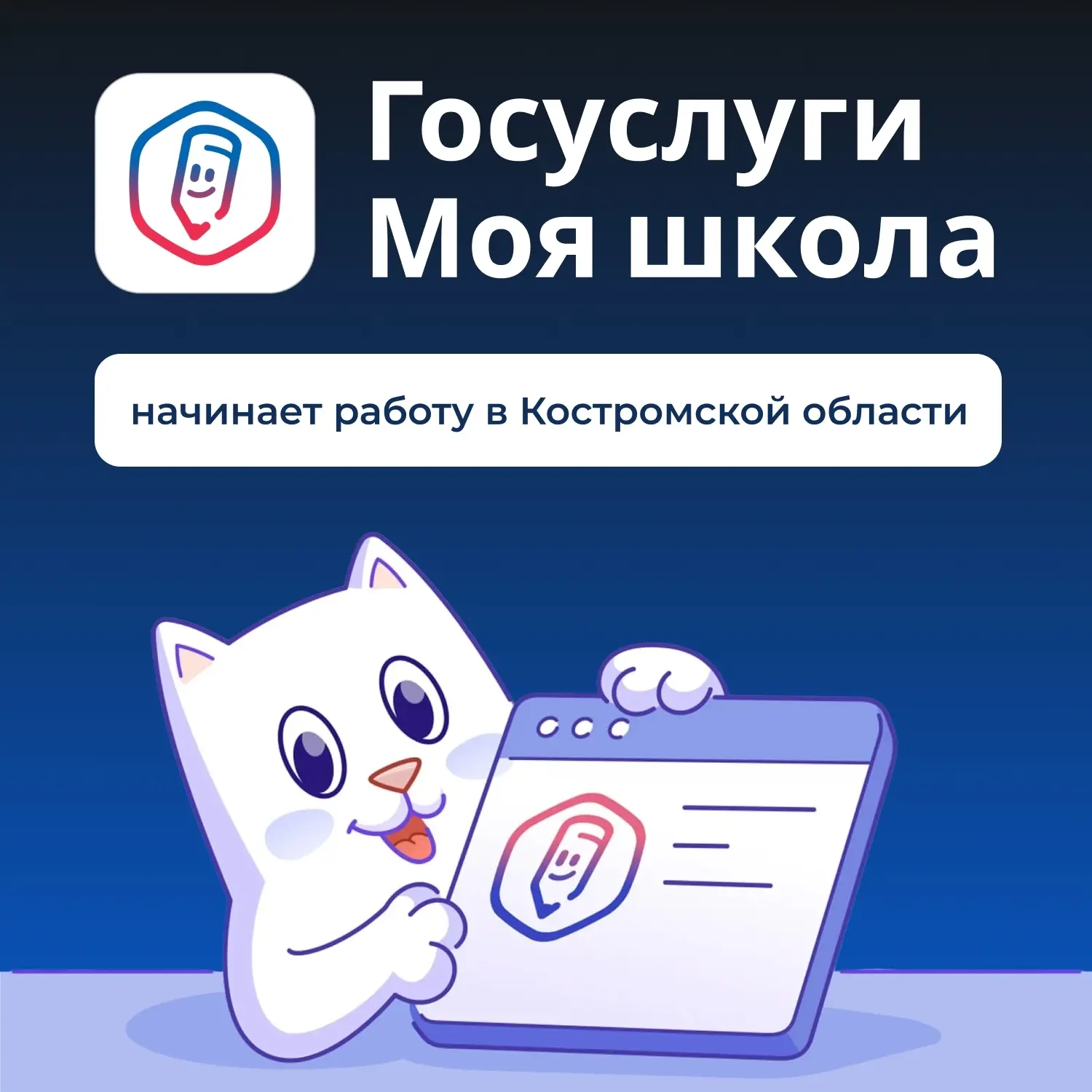 ВНИМАНИЕ!‼
