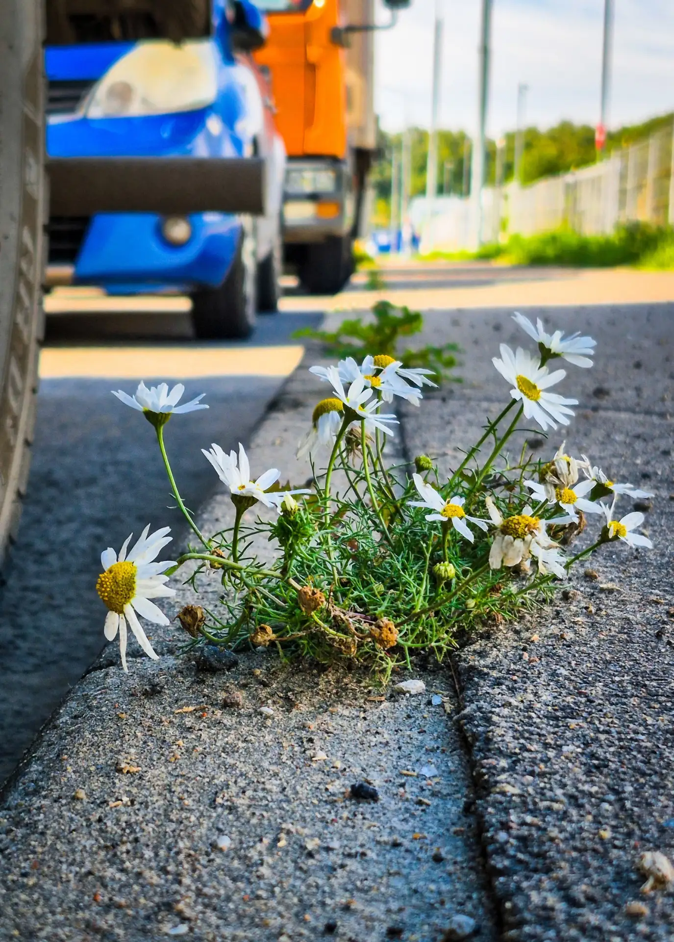 Что-то я уже скучаю по лету 🥺