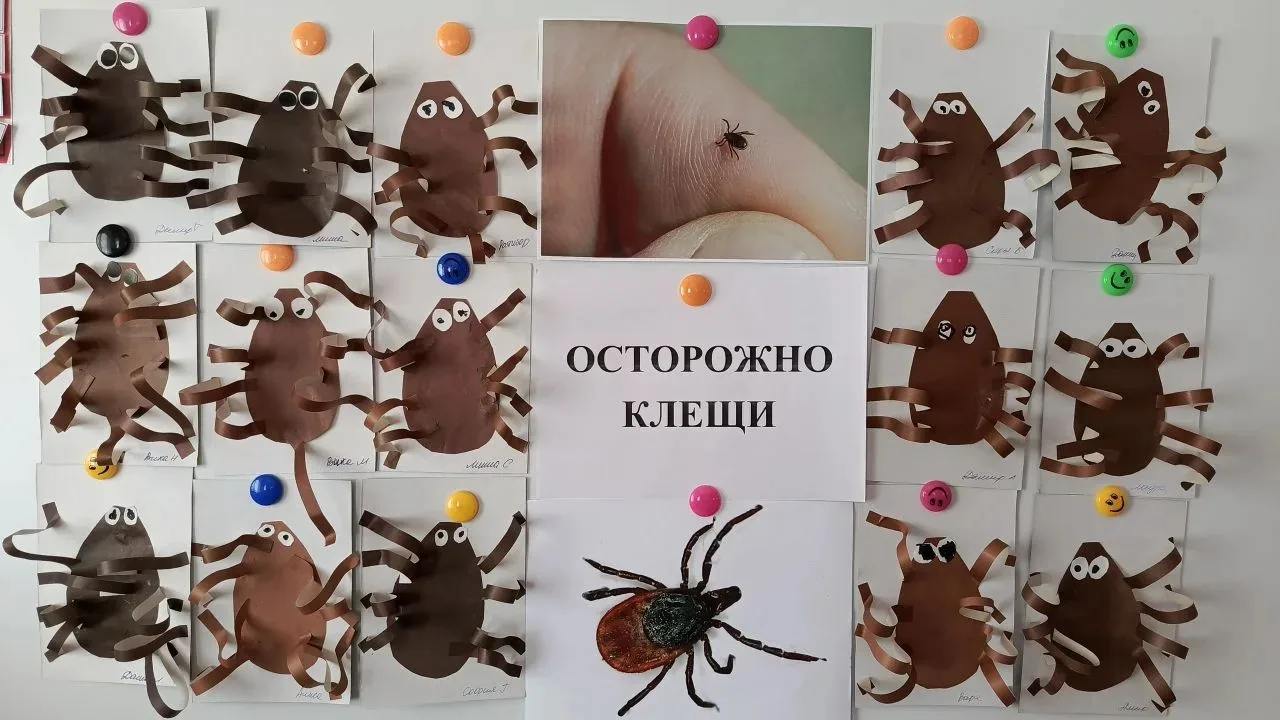 Дети на второй младшей группы"Почемучки" изучали, как выглядят клещи, и чем они опасны.