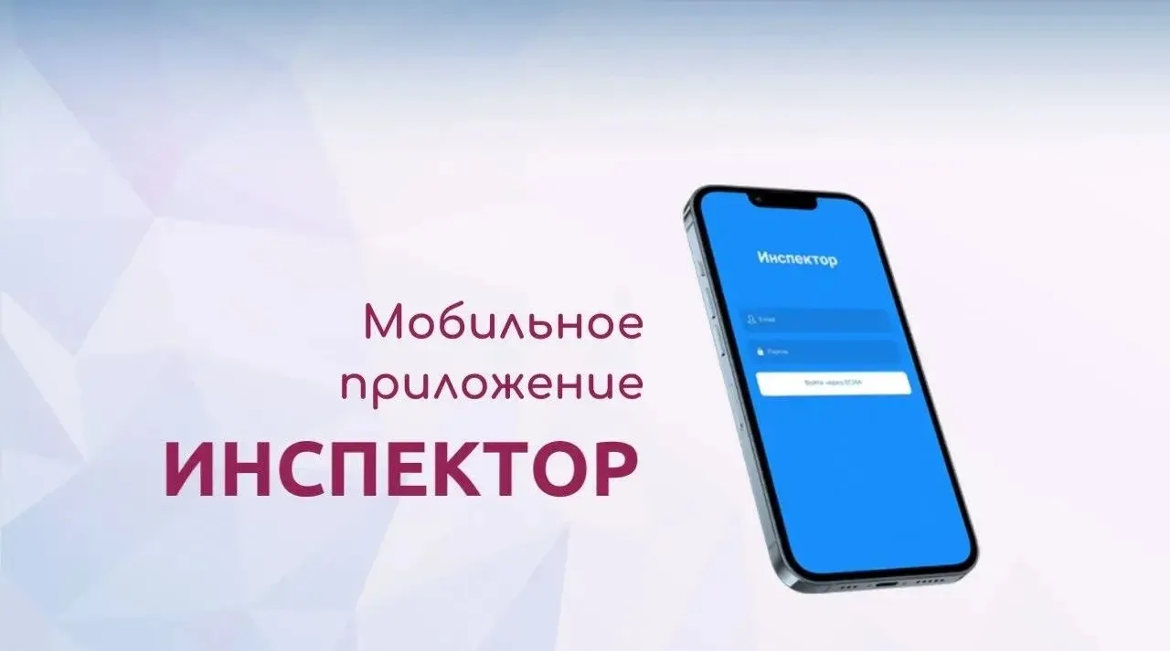 Цифровой контроль: Госинспекция проводит проверки удаленно с помощью спецприложения