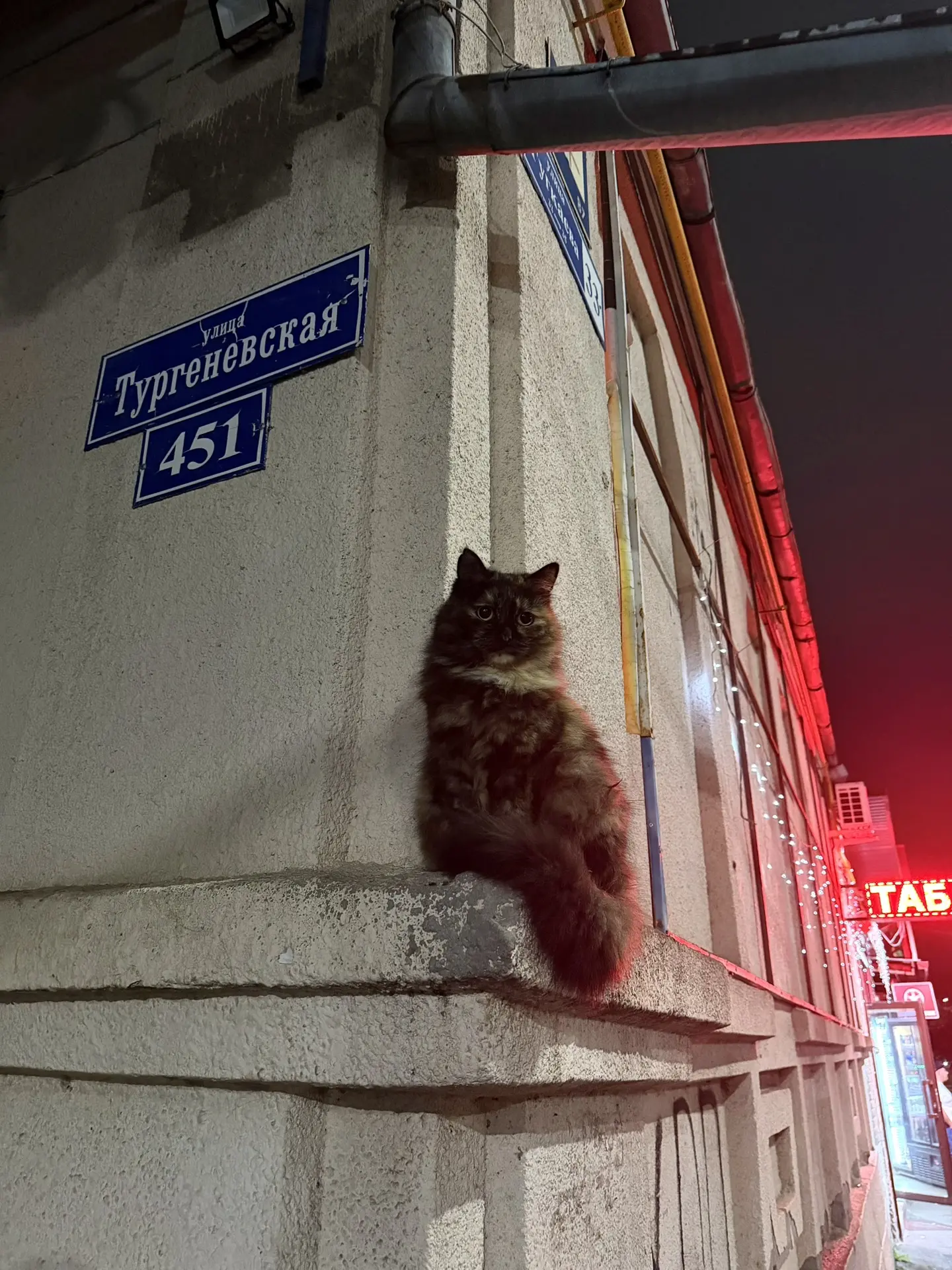 Быть Тургеневской девушкой на минималках — это когда загадочность на месте, а платья ос...