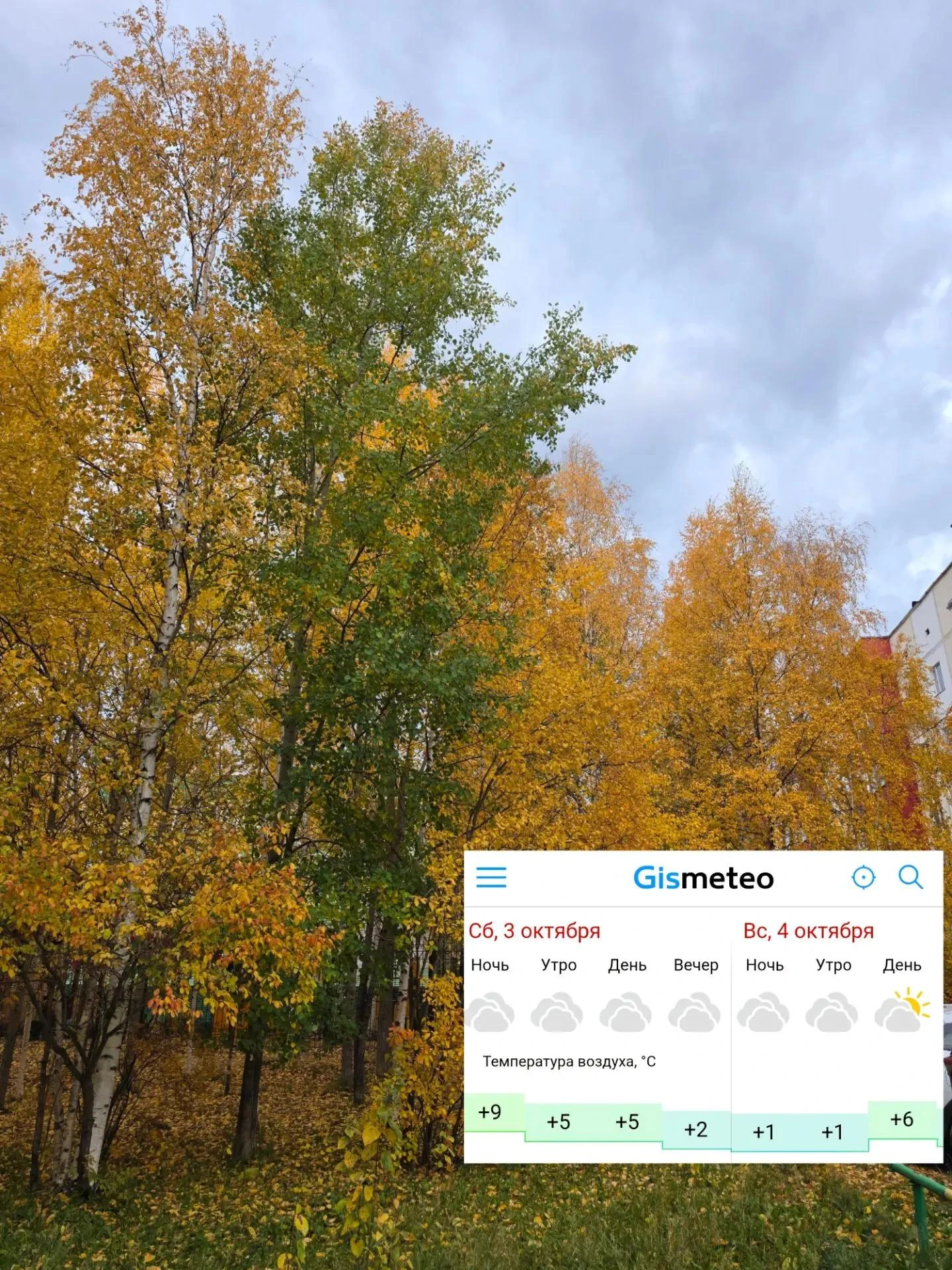 Синоптики обещают нам пасмурные и прохладные выходные. Но хорошие новости тоже есть: се...