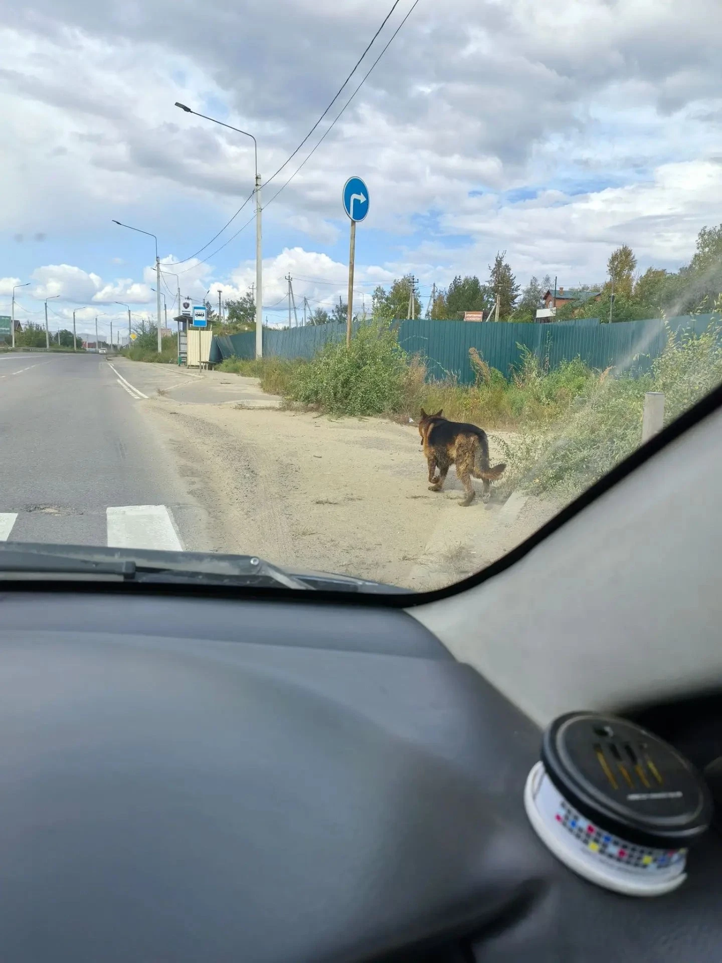 Бежит немец в сторону Смоленки. Без ошейника, вдруг чей то.