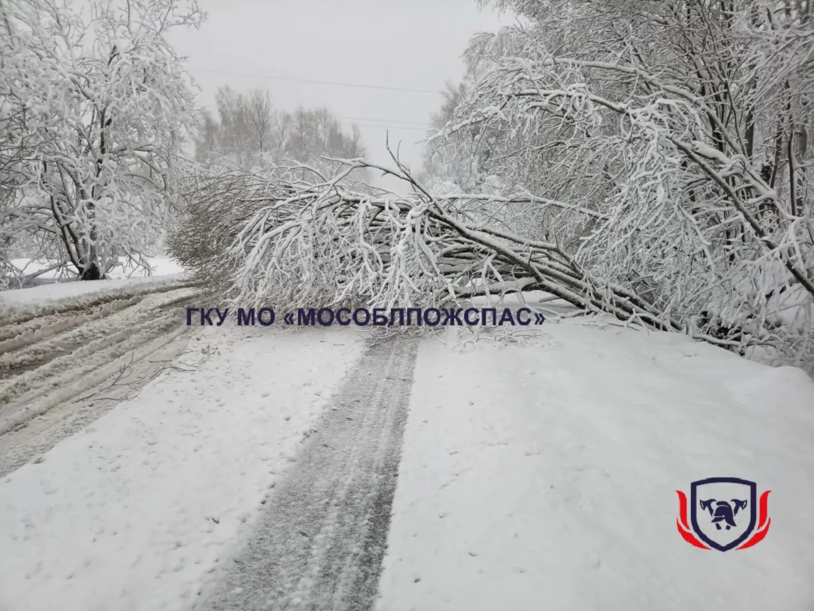 ❄️Оборванные провода, деревья на трассе. Спасатели продолжают ликвидировать последствия снегопада 🚨 