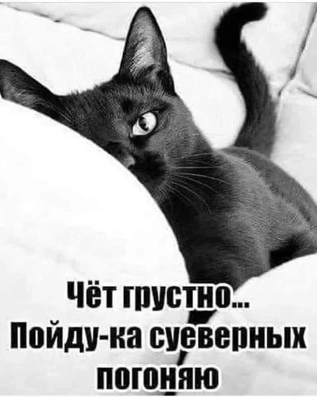 😎Православные тоже шутят - Позитивный канал, с доброй и душевной атмосферой.