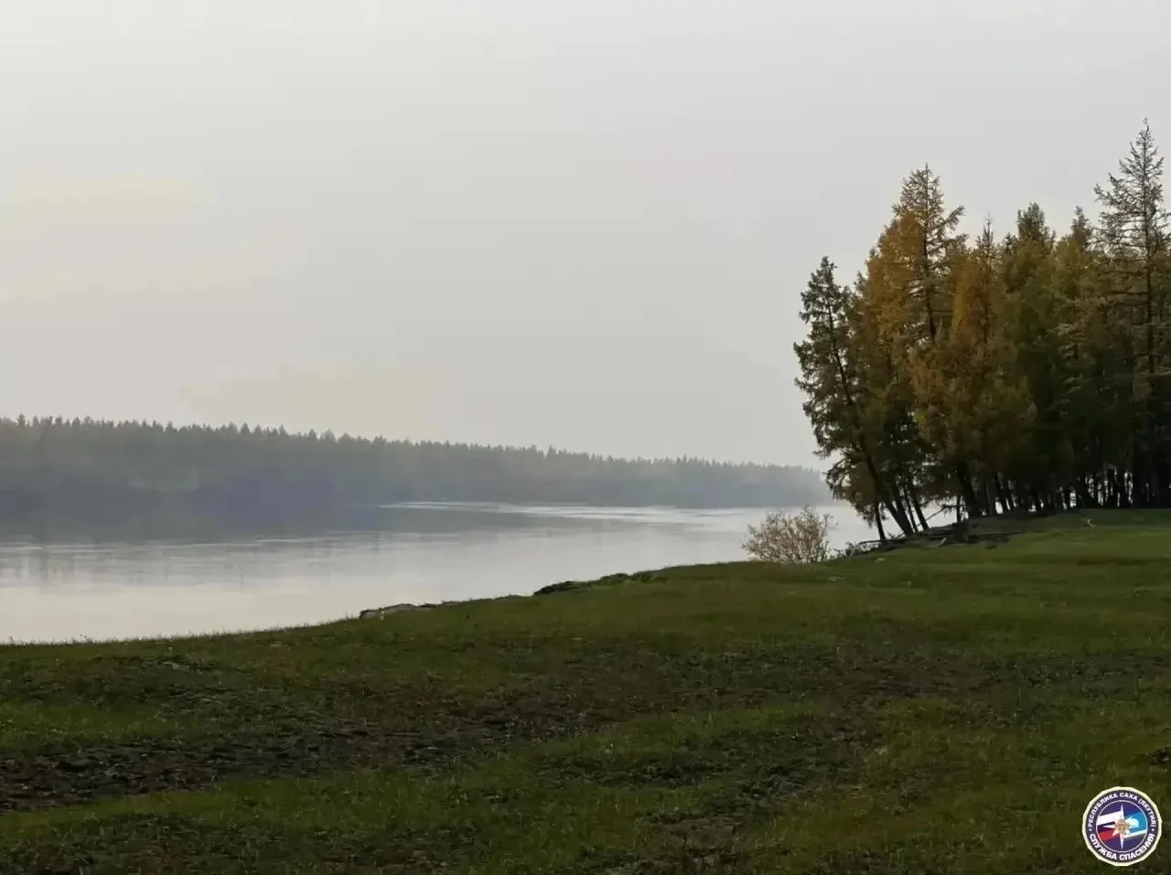 В Олекминском улусе Якутии продолжаются поиски женщины, которая пропала во время сбора ...