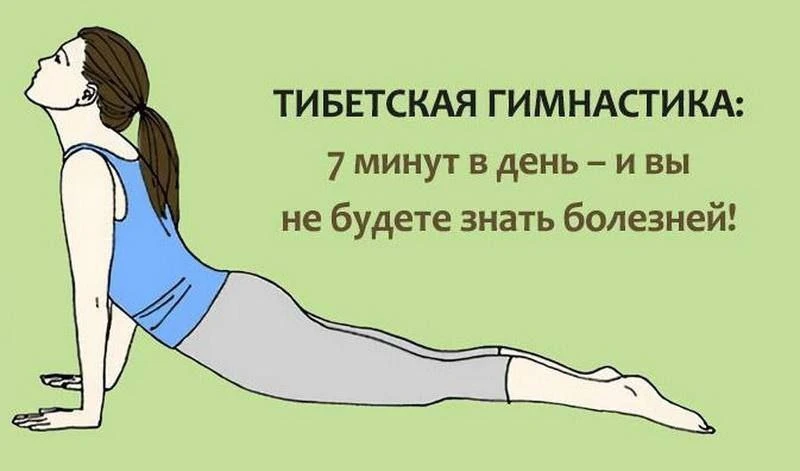 Тибетская утренняя гимнастика 

➡️ Слoжите руку в кулак, костяшками больших пальцeв 15 paз помассиpy
