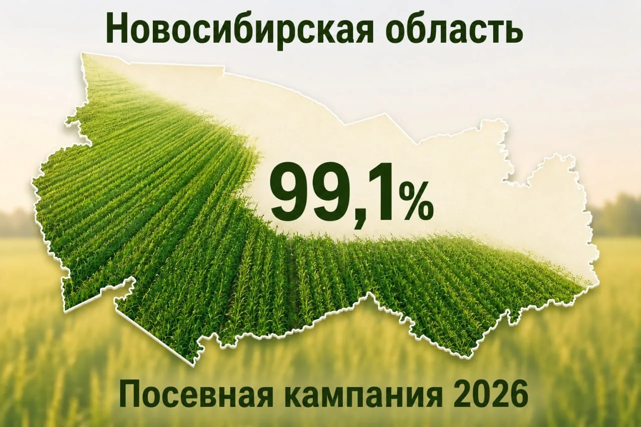 🌾Посевная в Новосибирской области подходит к концу

По данным регионального Минсельхоза, яровыми ку