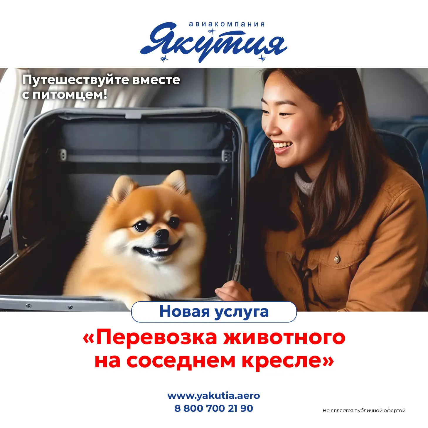 Перевозка животного на соседнем кресле 🐶🐱  Перевозка животных на соседнем кресле в салоне самолета —