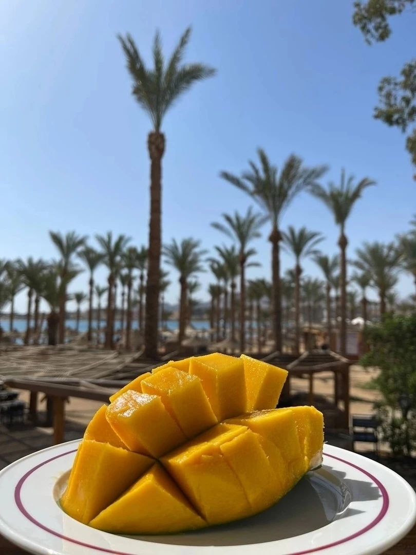 🥭летим в солнечный ЕГИПЕТ 🥭 качественные отели с отличным сервисом👍