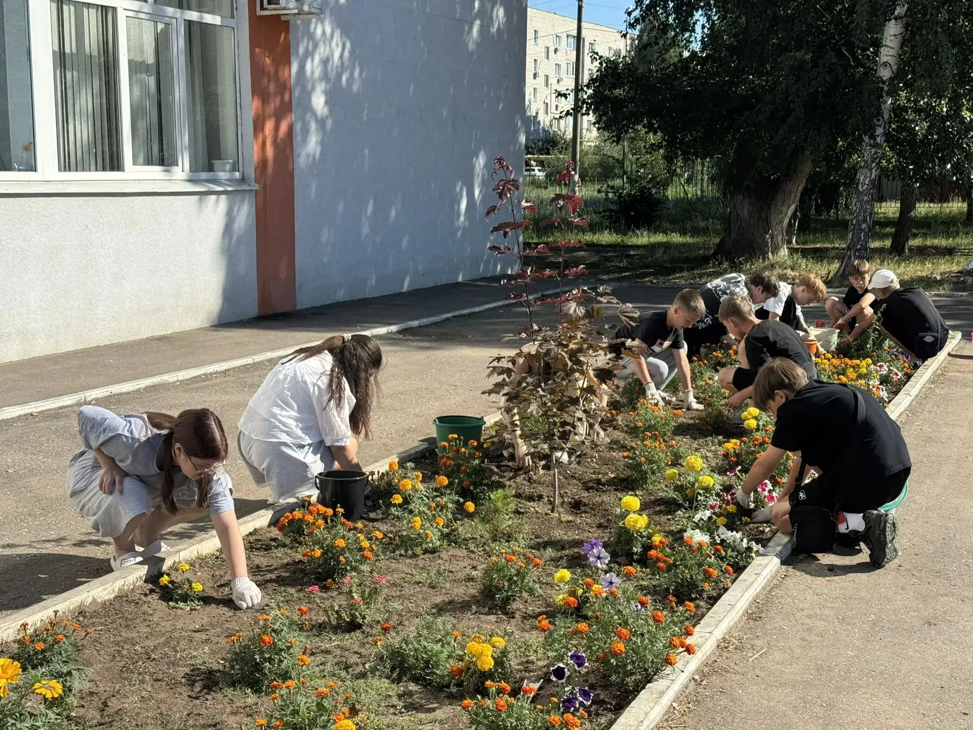 🌿 Школьная отработка 🌿

Активно продолжается  отработка на пришкольном участке!
Это отличная возмо