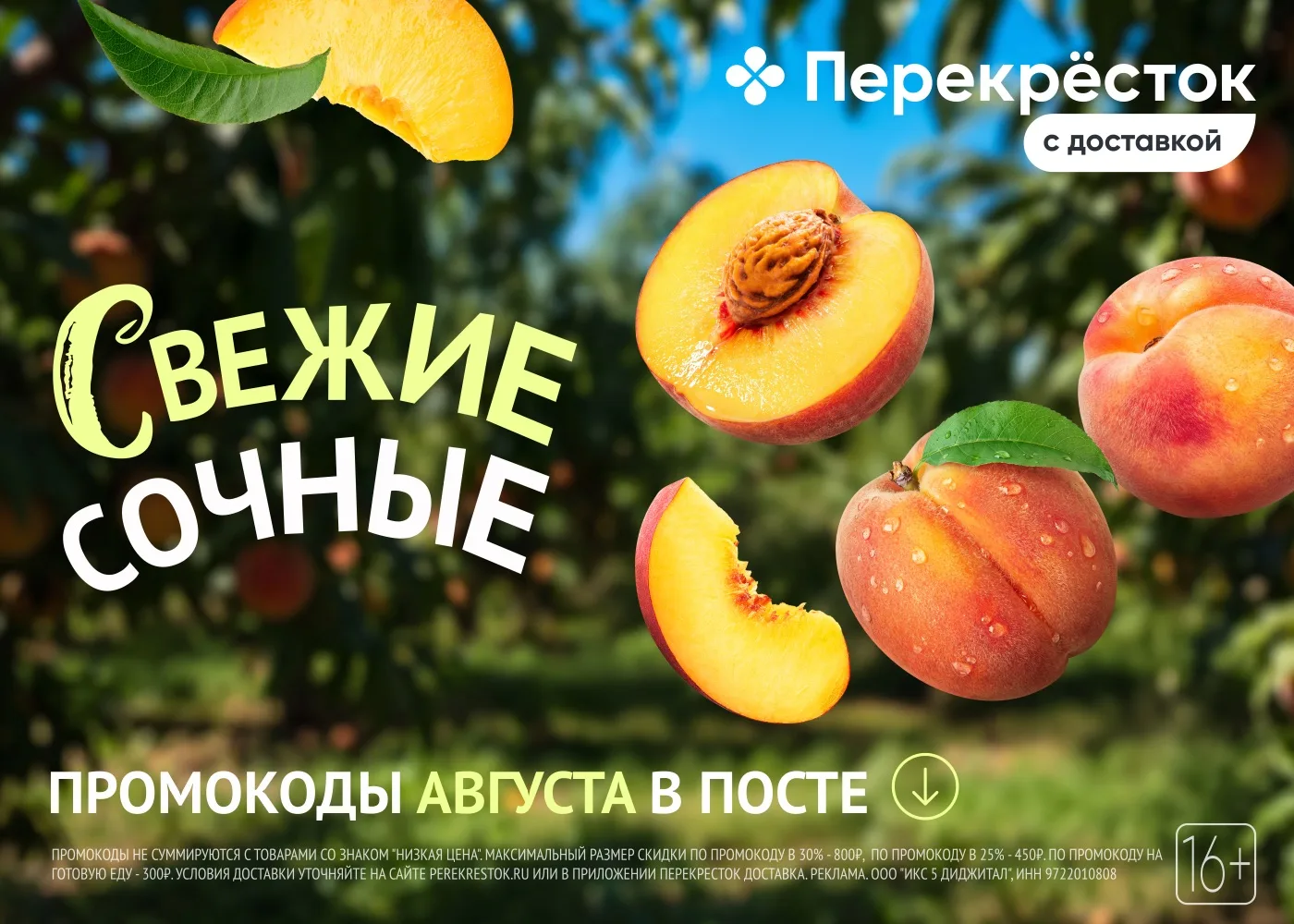 Закупаемся на неделю в Перекрестке!🛒