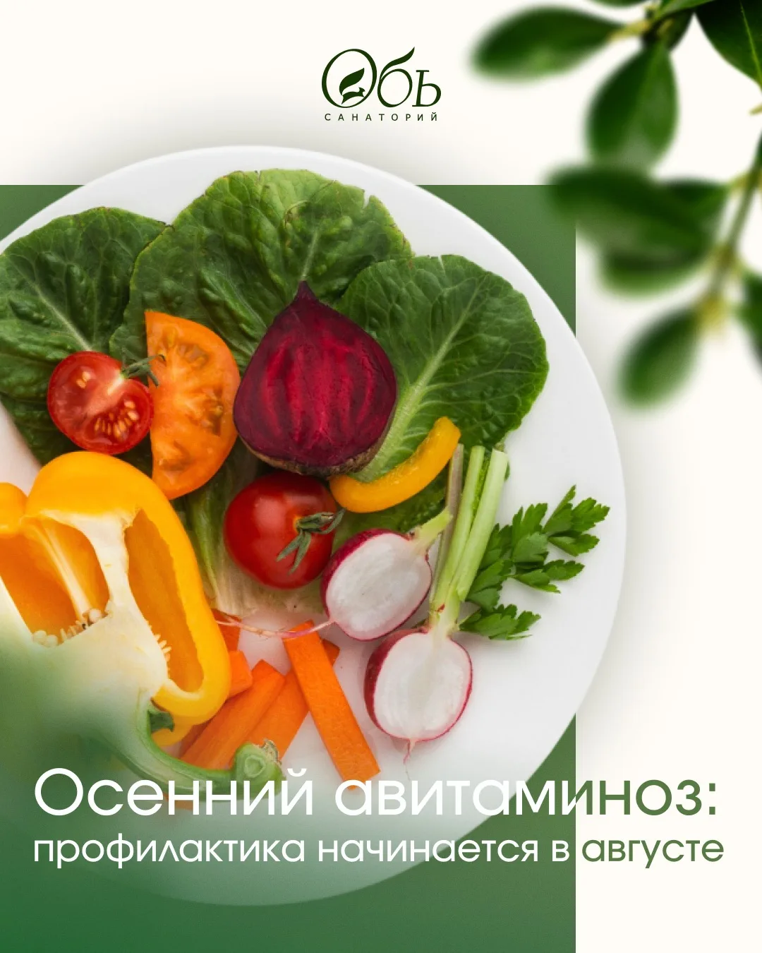 С наступлением осени многие замечают упадок сил, сонливость, ухудшение настроения и час...