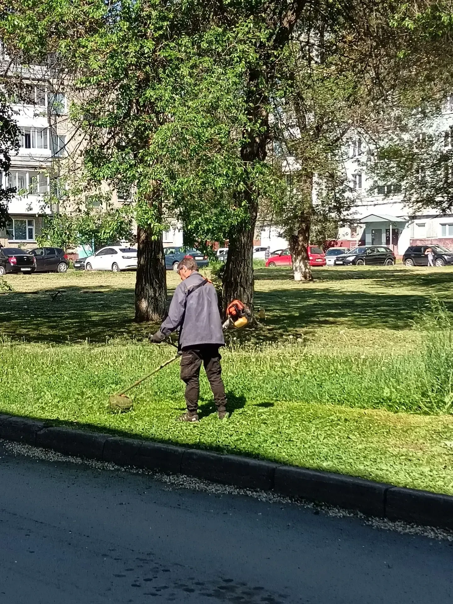 Покос территории дома пр.Химиков, 19а.