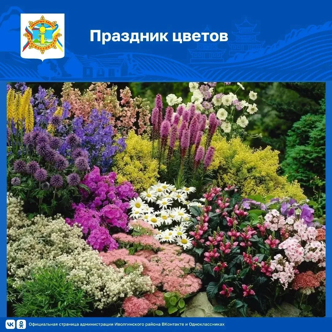 📣Состоится