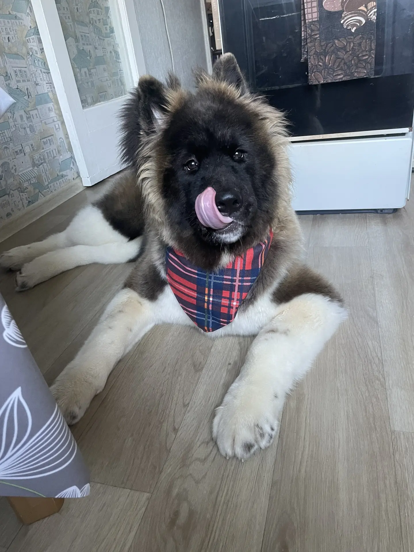 К обеду готова🍽️