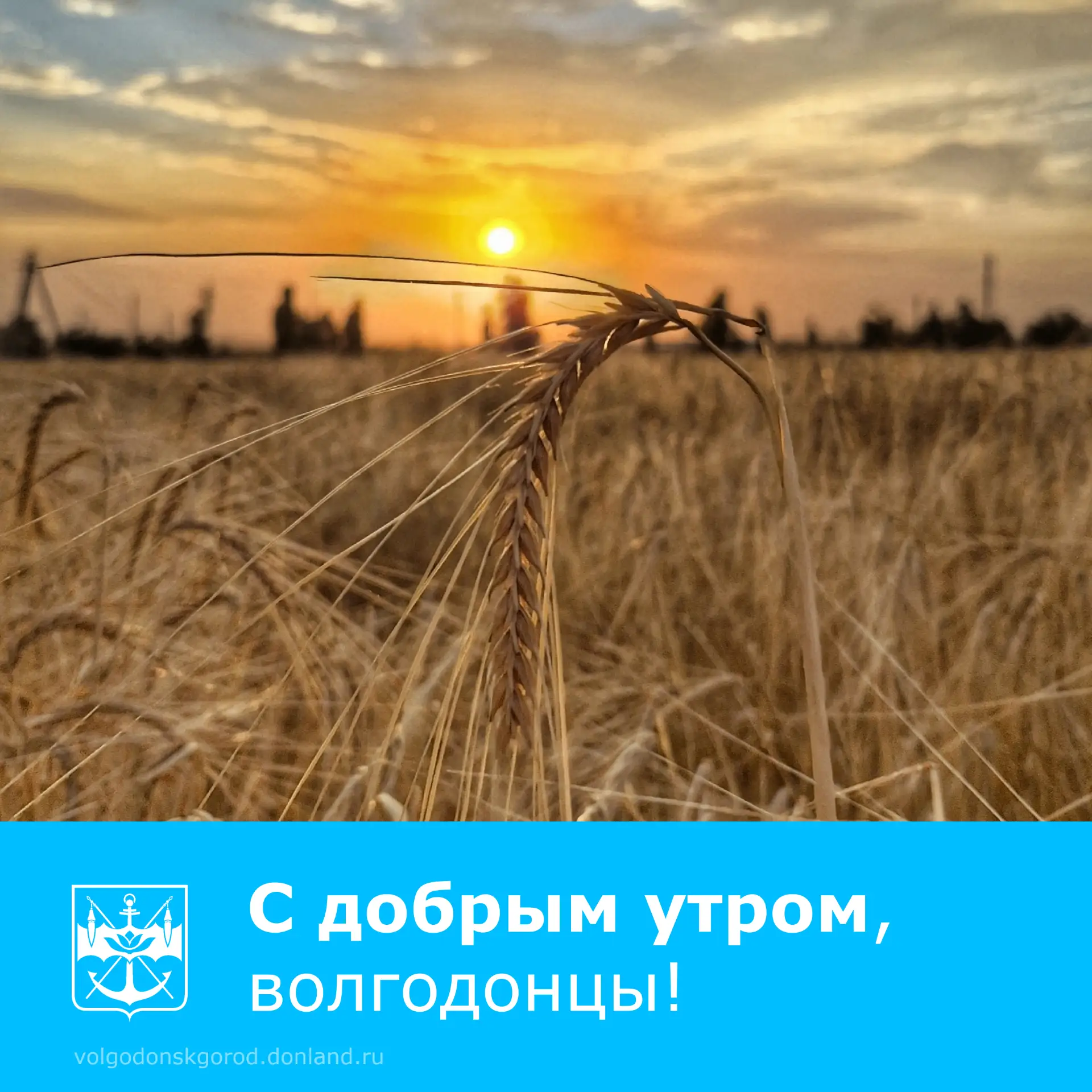 Доброе утро! ☀

Отправляйте свои лучшие кадры нам на почту: adm_press@vlgd61.ru  📸Будем рады опубли