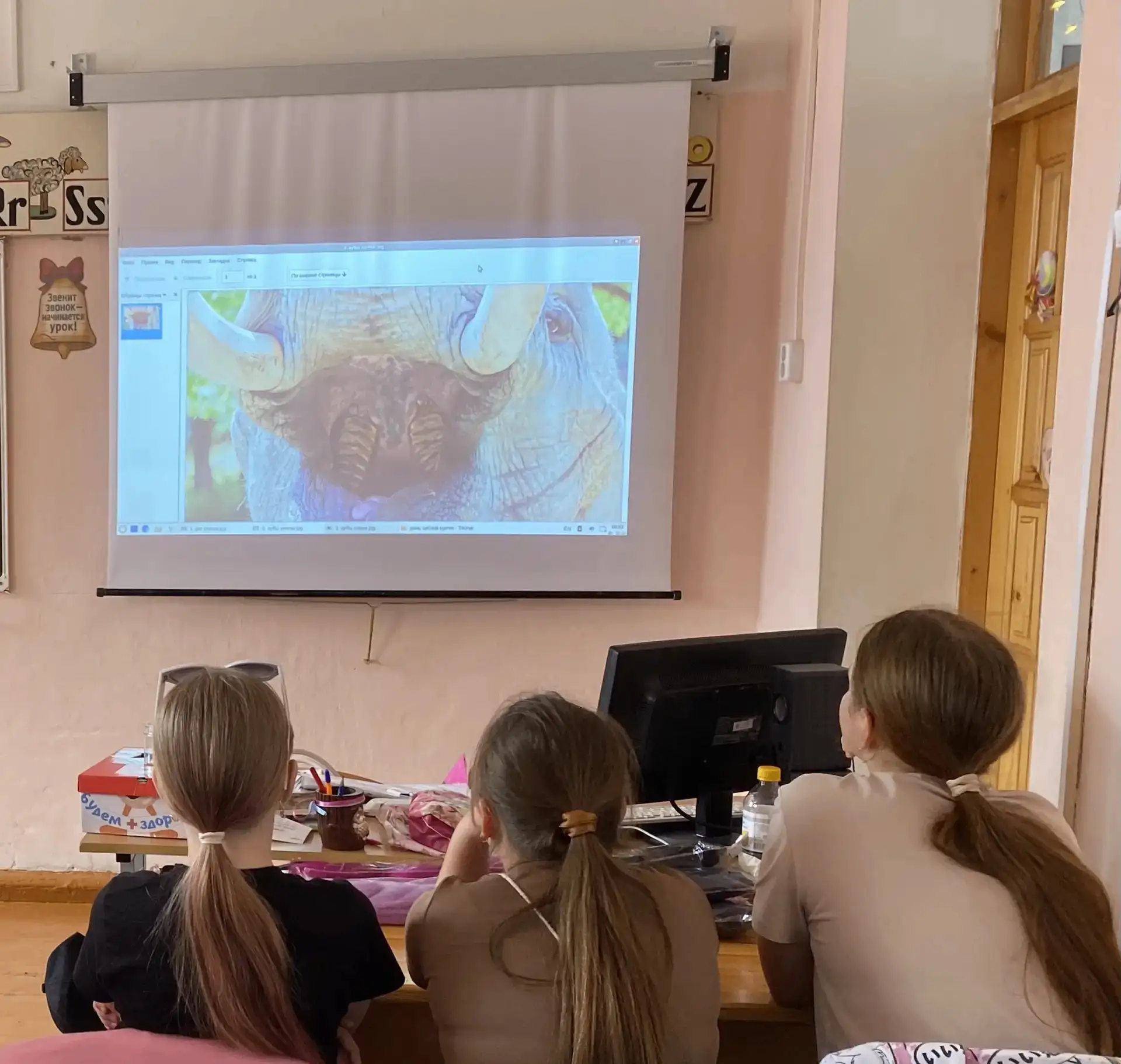 Ежегодно 26 июня отмечают День зубной щетки. Это маленький, но очень важный предмет личной гигиены. 