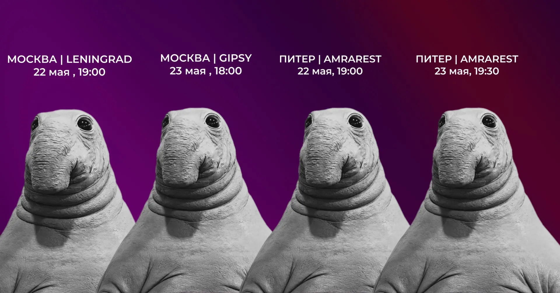 ВОТ СЮДА ЗОВЁМ ДРУЗЕЙ