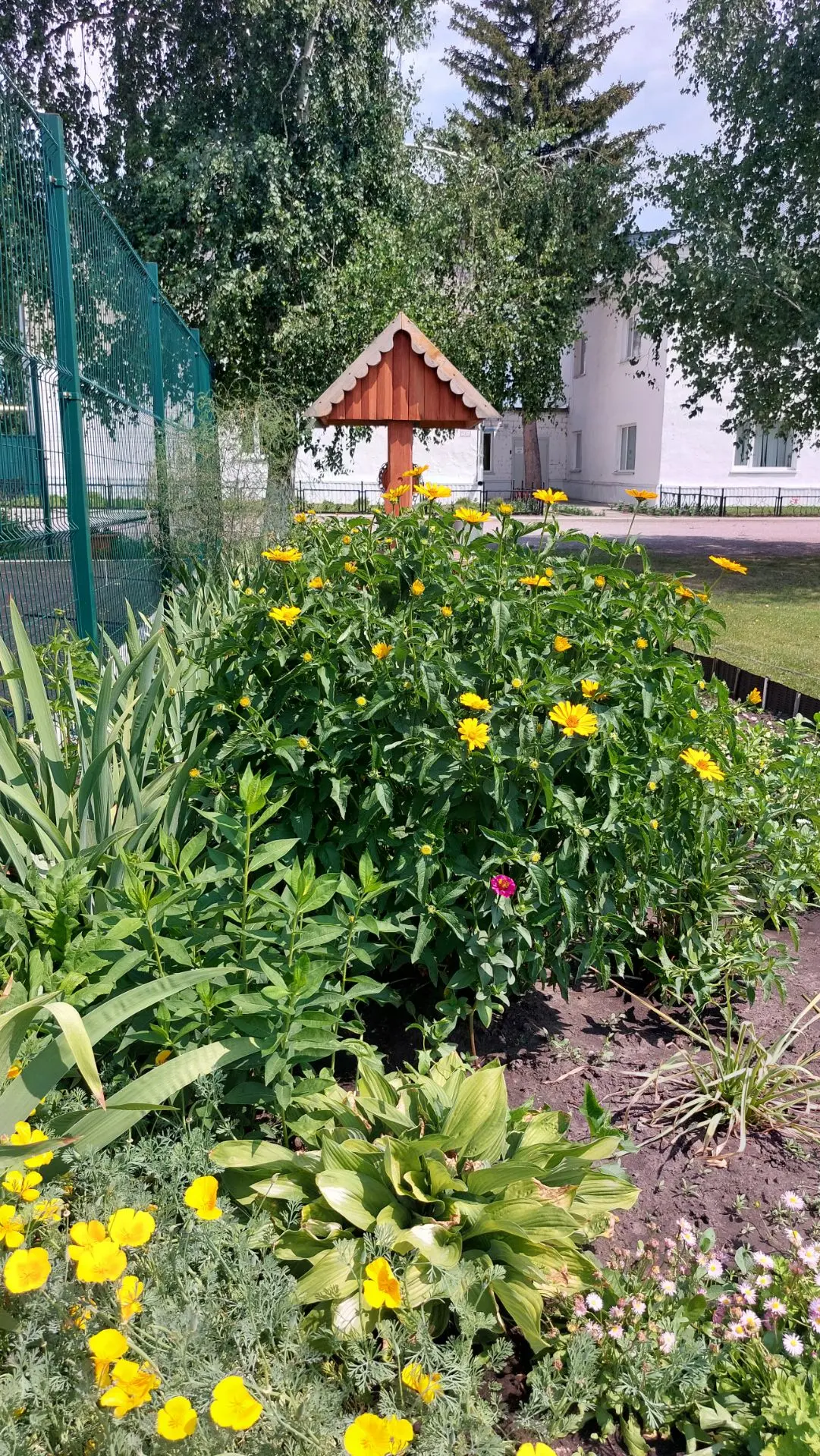 🌸 Цветущий привет из школы!