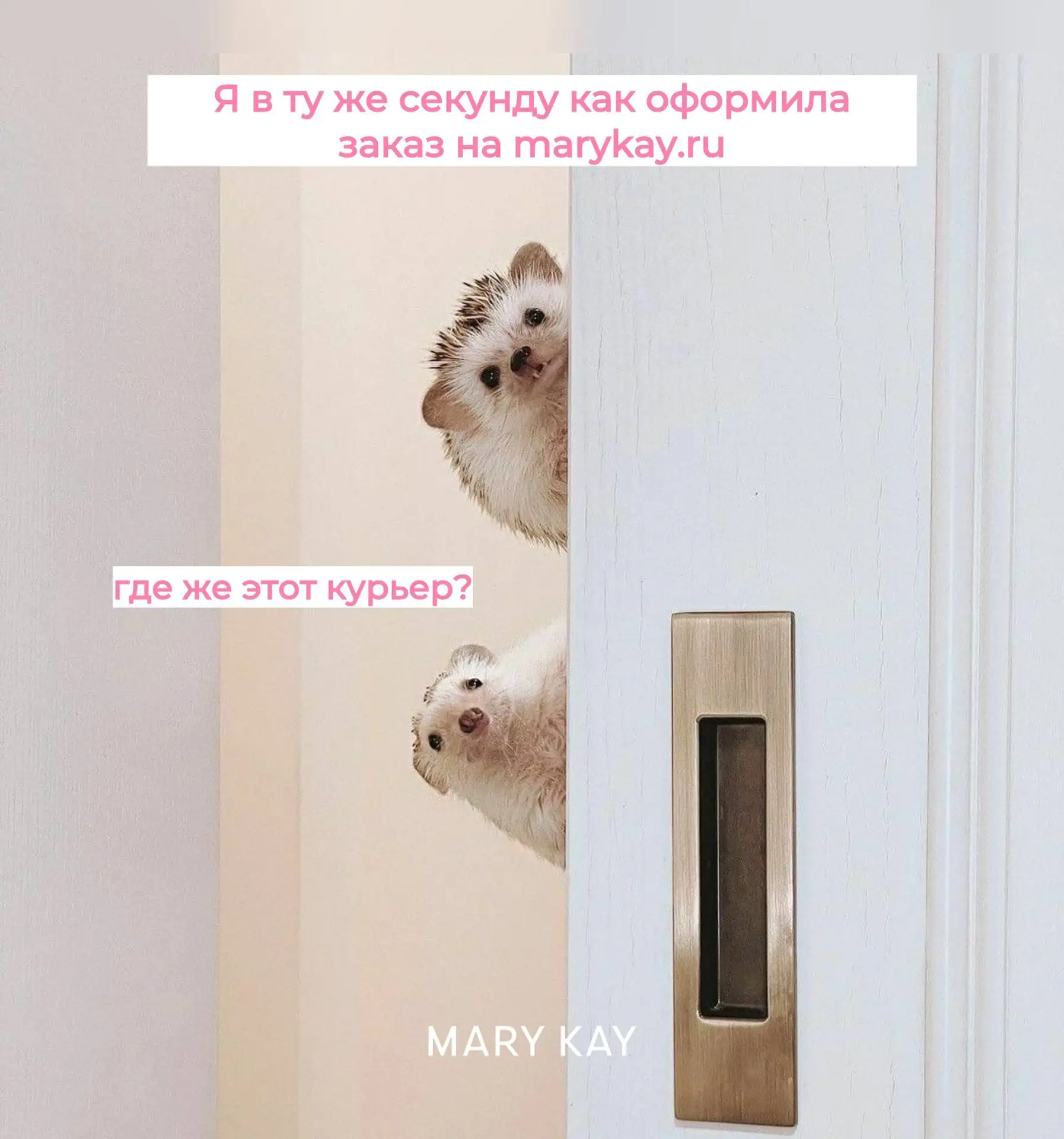 Приятный бонус к любимым покупкам 😍💖

При оформлении заказа от 5 200 ₽ на marykay.ru доставка осущ
