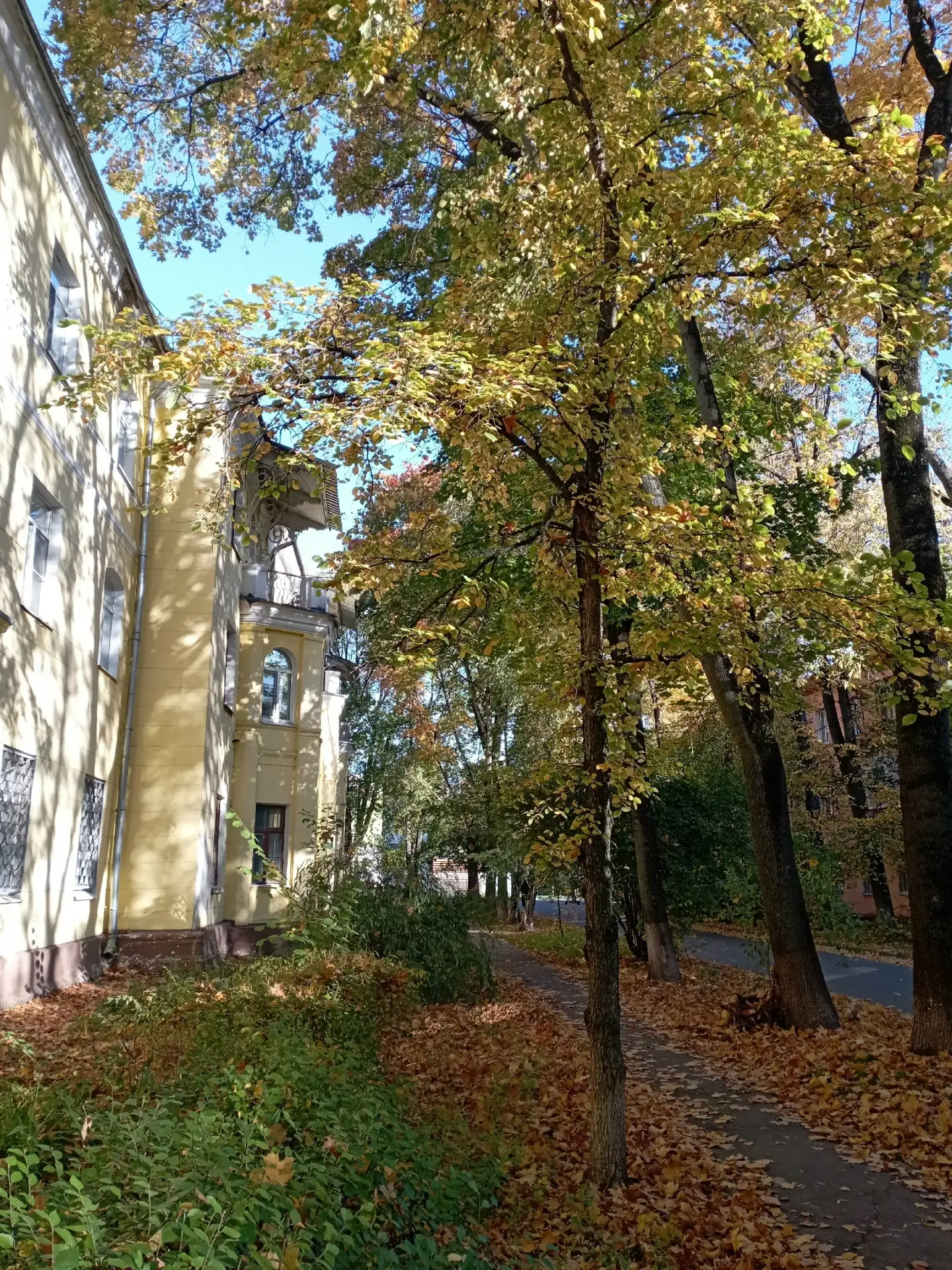 Красота осени в поселке ВУГИ.
