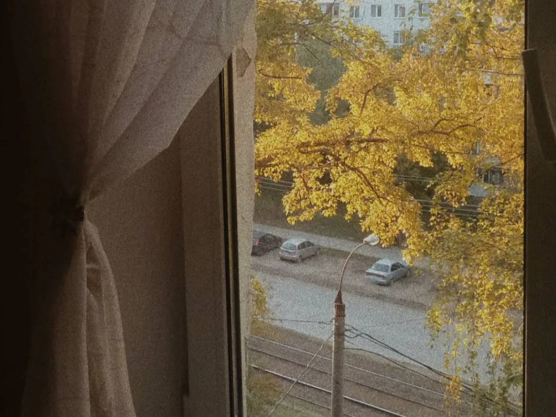 🌤️ Доброе утро, дорогие подписчики!