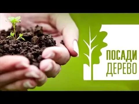 День древонасаждения
