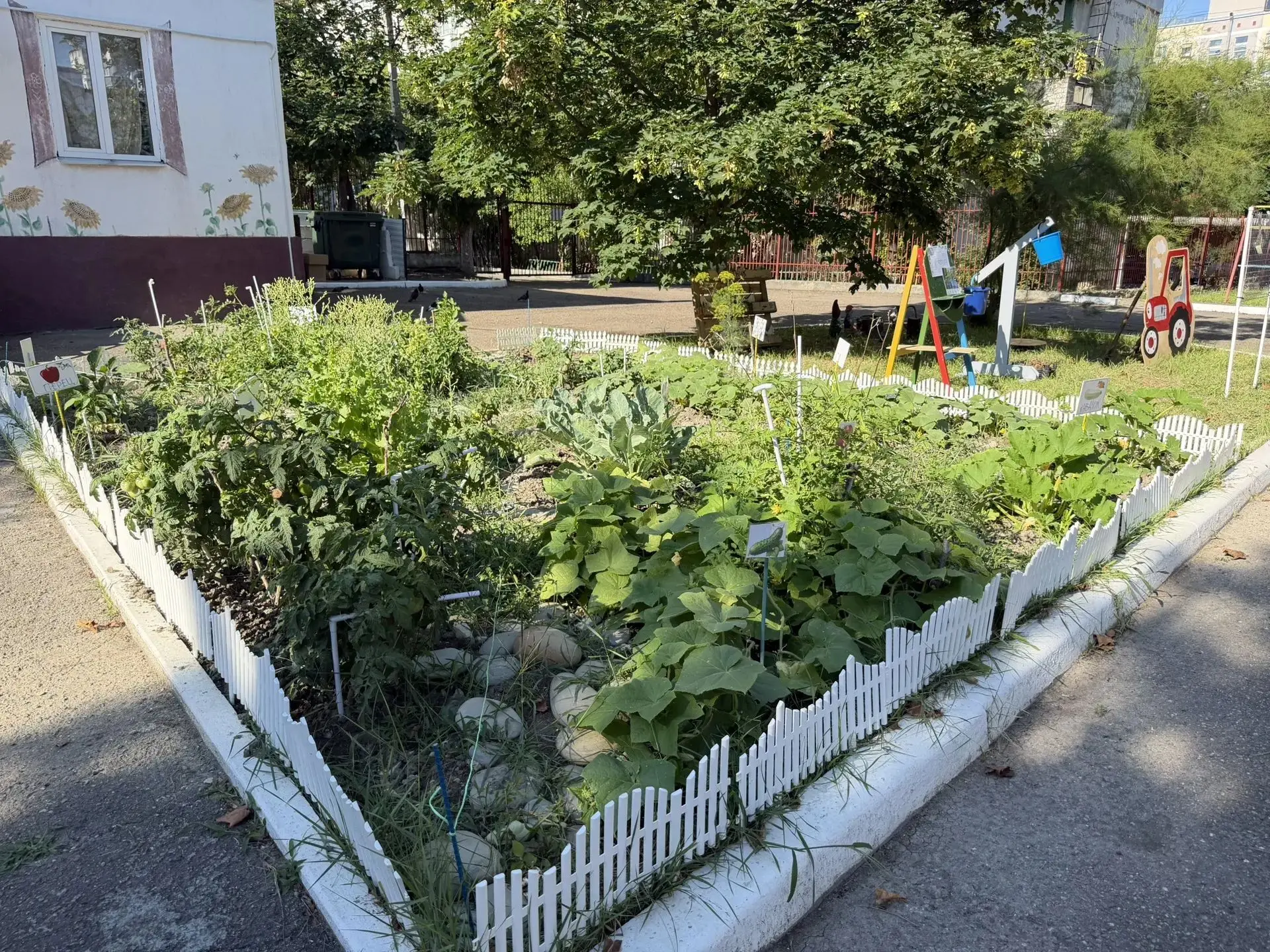 🌱ЭКООРБИТА. 🔎«Там, где грядки встречаются с микроскопом: необычный день в детском саду с „Бобровой