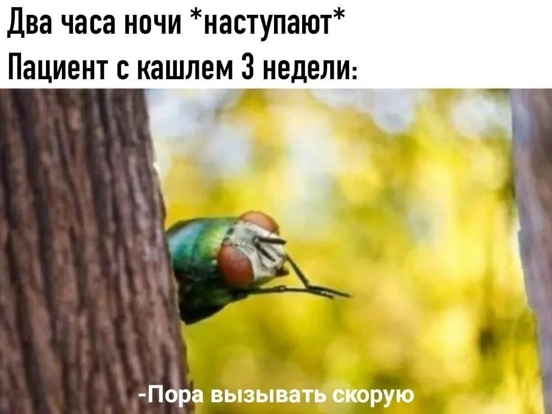 Или зуб болит уже 7 дней
