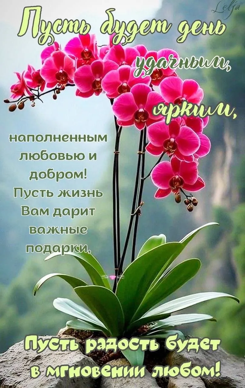 Доброго утра, мои прекрасные!
Желаю Вам, чтобы сегодня день сложился так, как Вы желаете!
Расписание