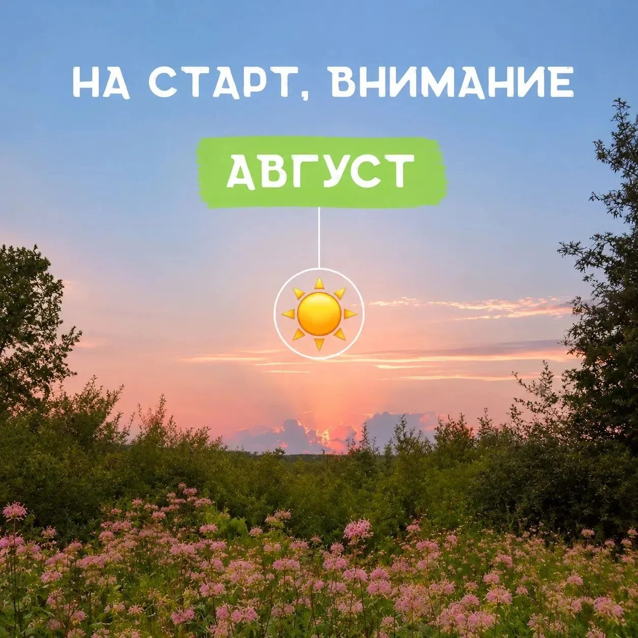 ☀️ Завтра стартует последний месяц лета.