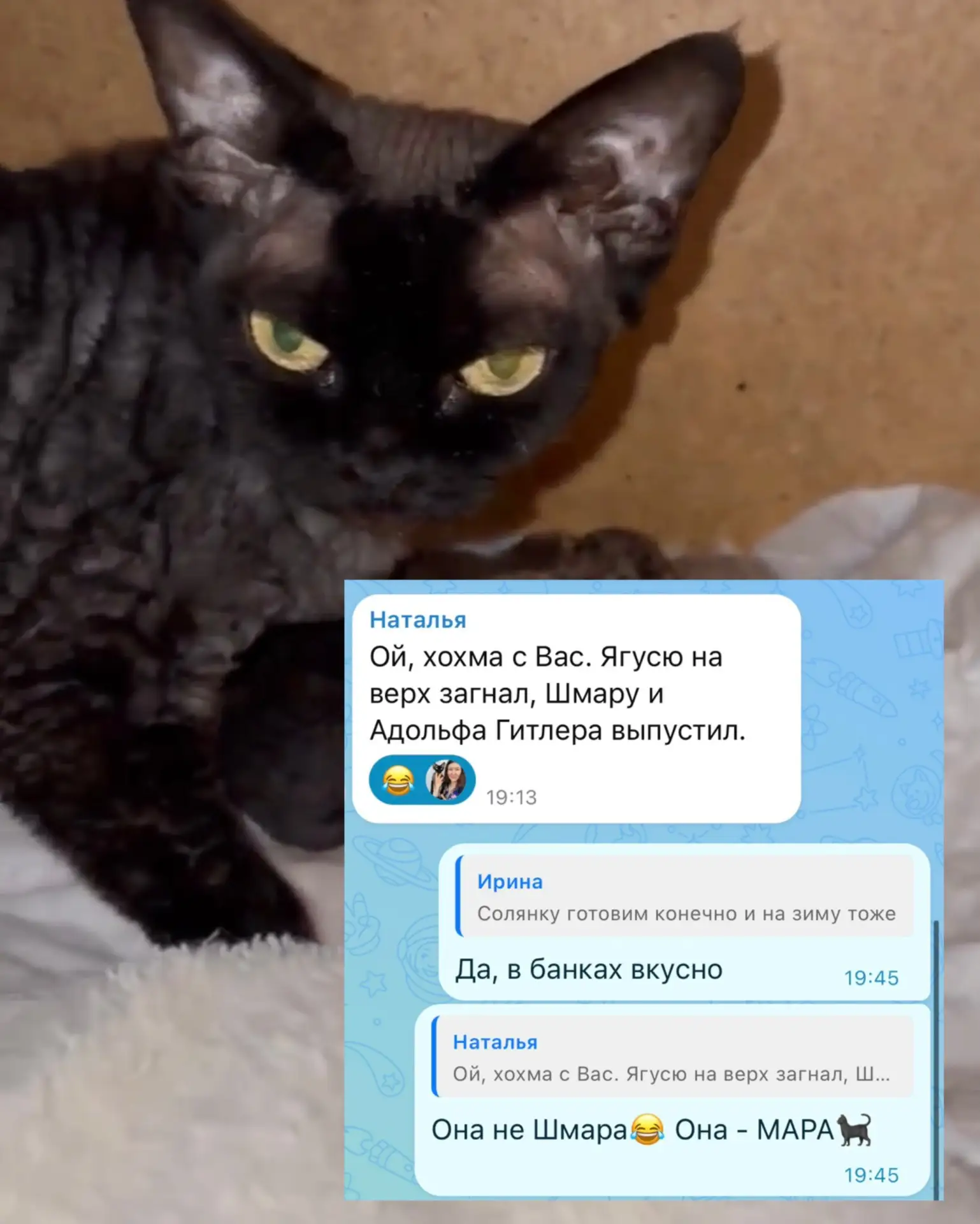 😂😂😂😂🤣🤣🤣🙈🙈
Я с комментариев иногда сама под столом и в голосину🤣🤪