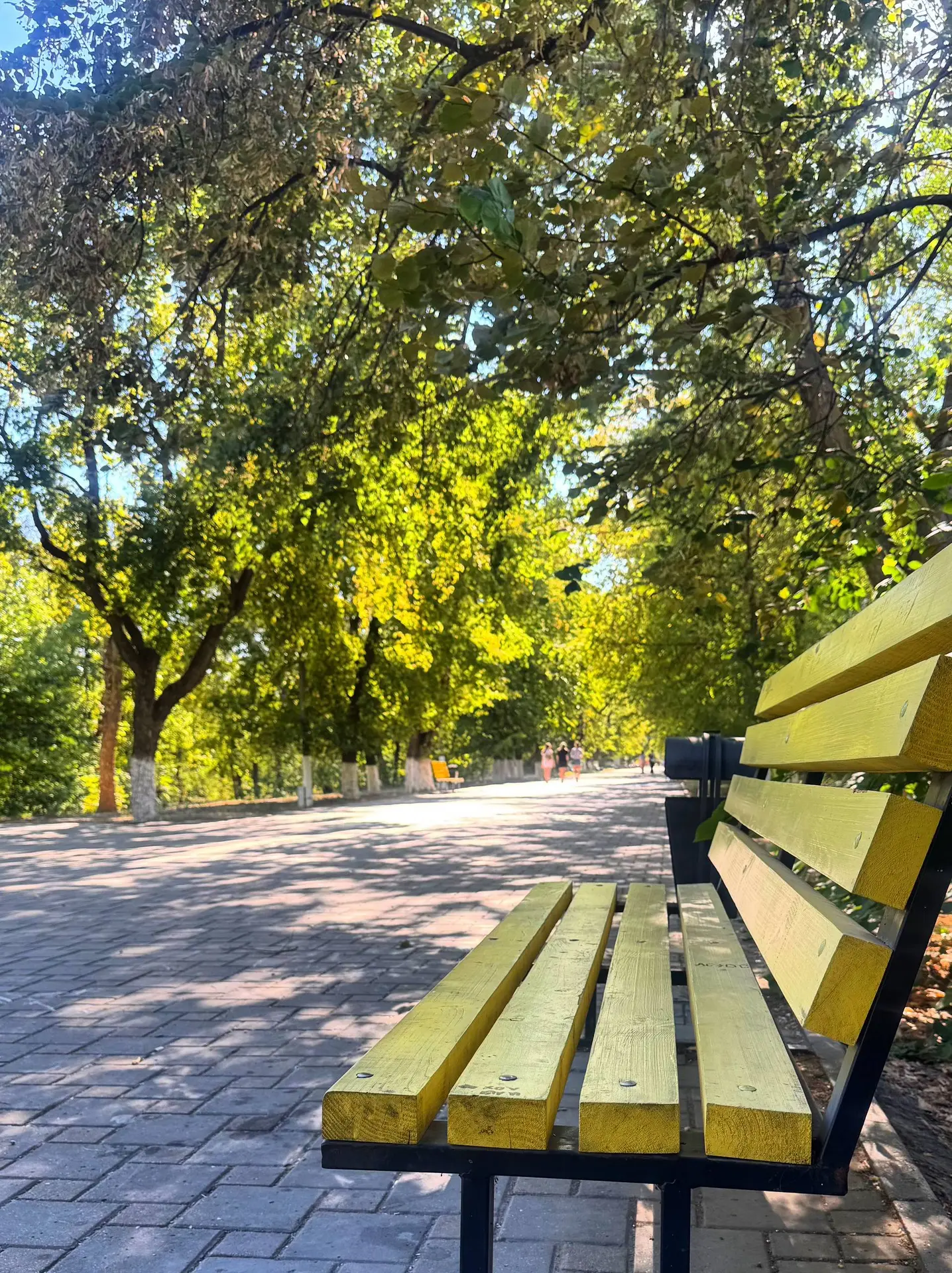 💭 Не падайте духом где попало…выбирайте красивые места😁