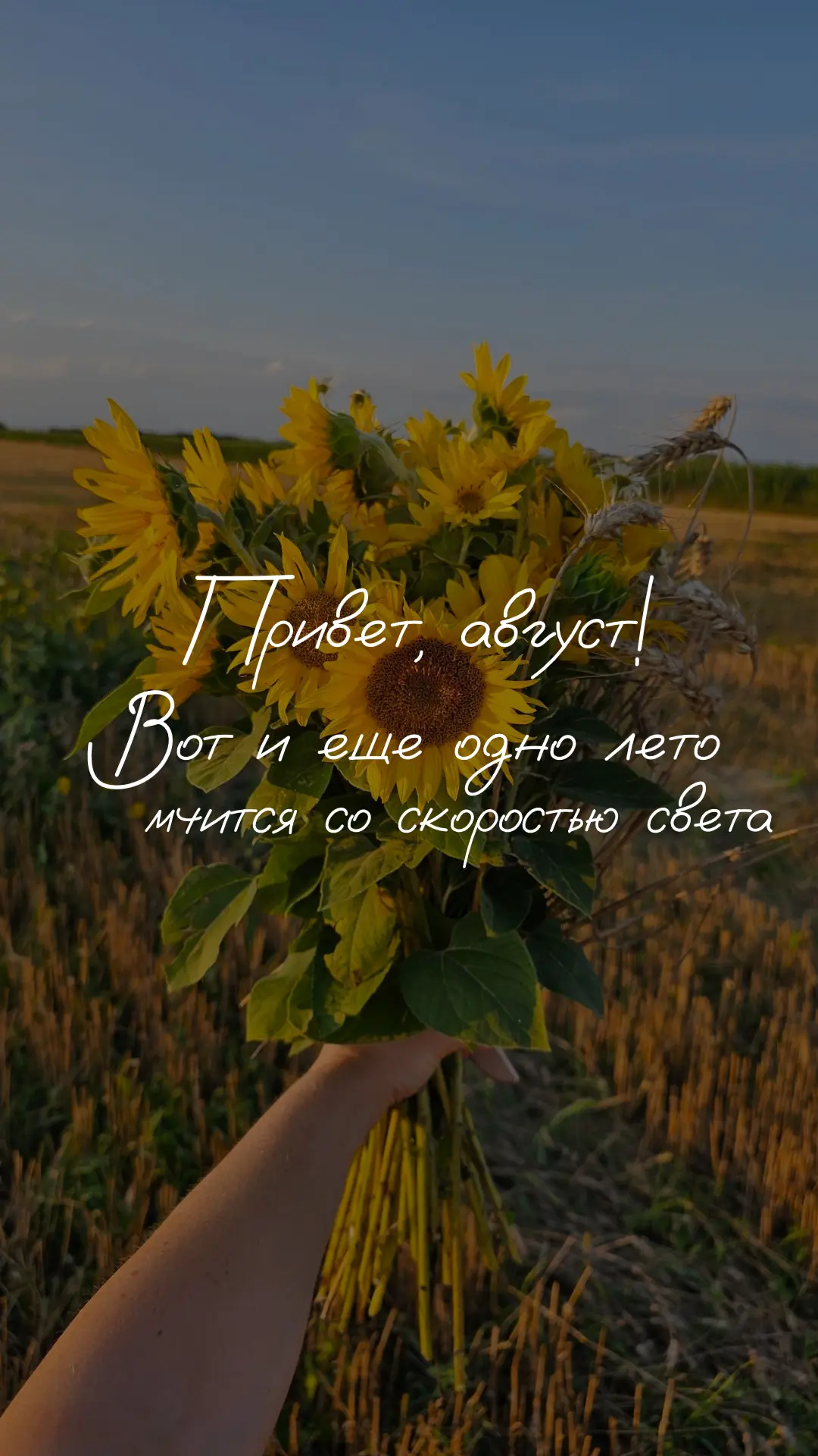 Встречаем долгожданный, теплый и солнечный август, новыми стикерами 🌻 

Файлы ниже 👇🏻